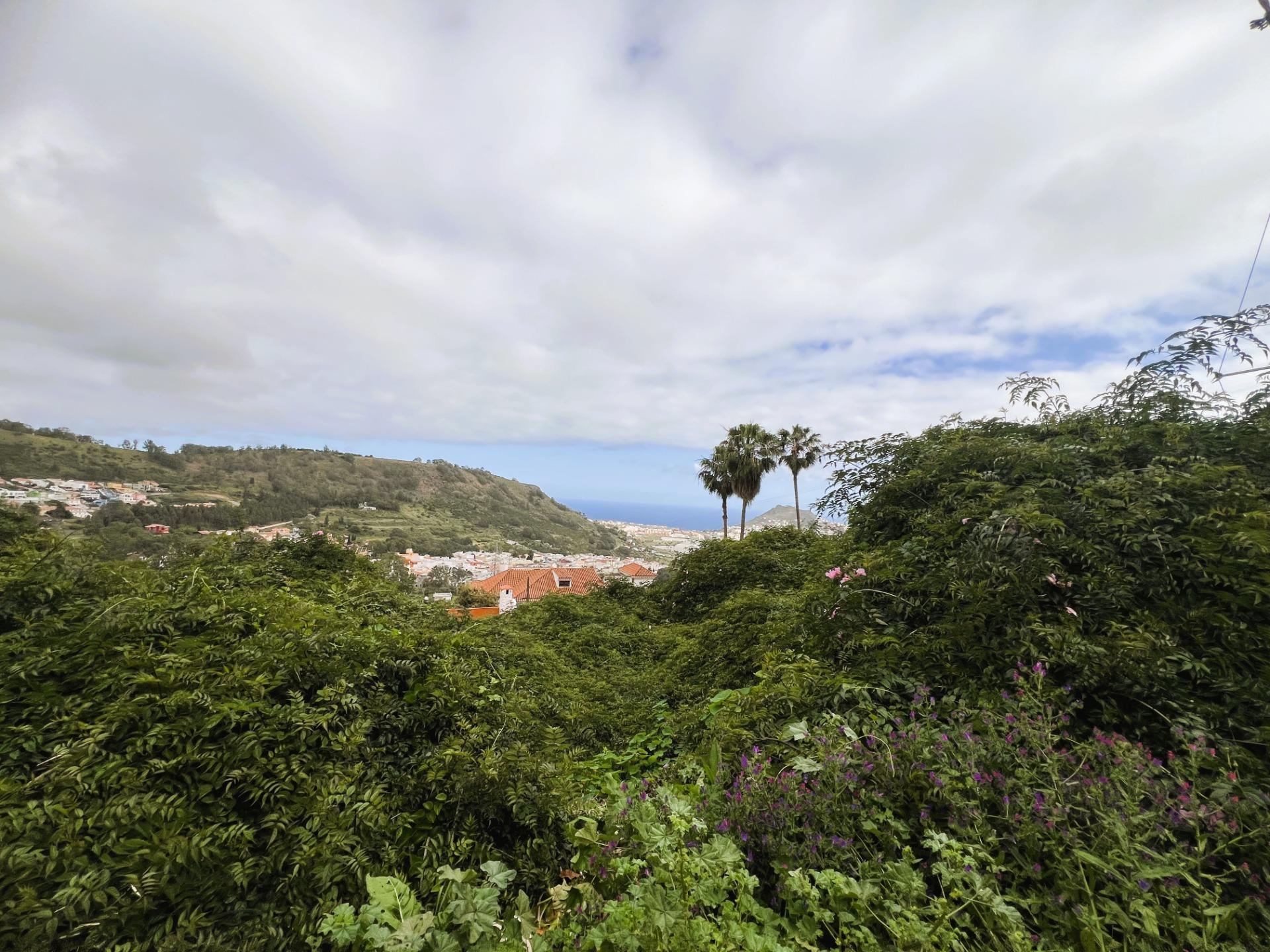 Fincas y solares-Venta-Arucas-2208823-Foto-5