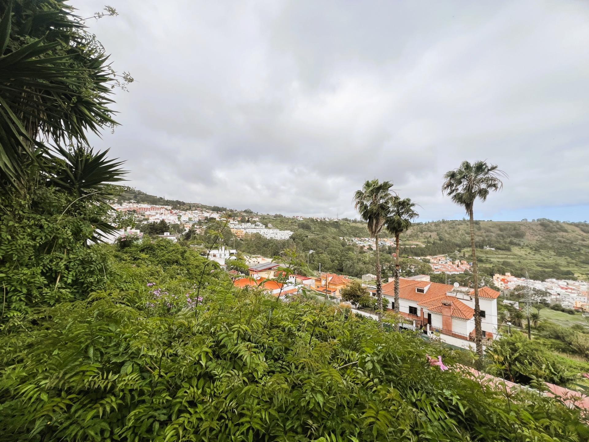 Fincas y solares-Venta-Arucas-2208823-Foto-9