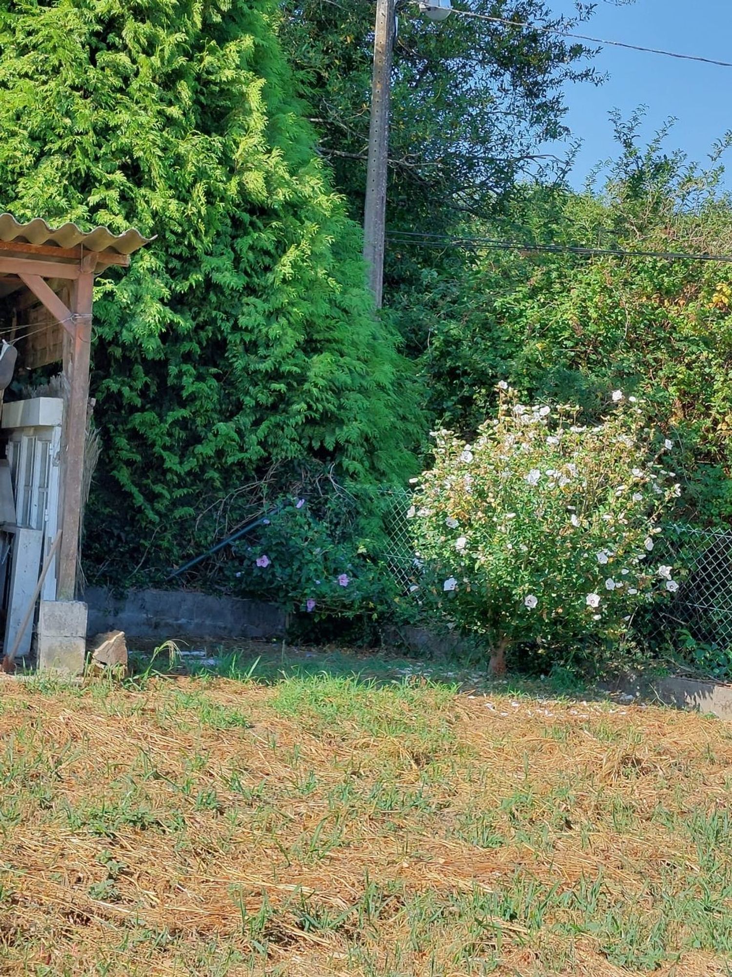 Fincas y solares-Venta-Betanzos-2208817-Foto-4