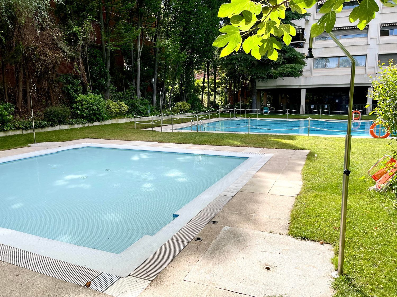 Pisos-Alquiler-Madrid-1833379-Foto-6