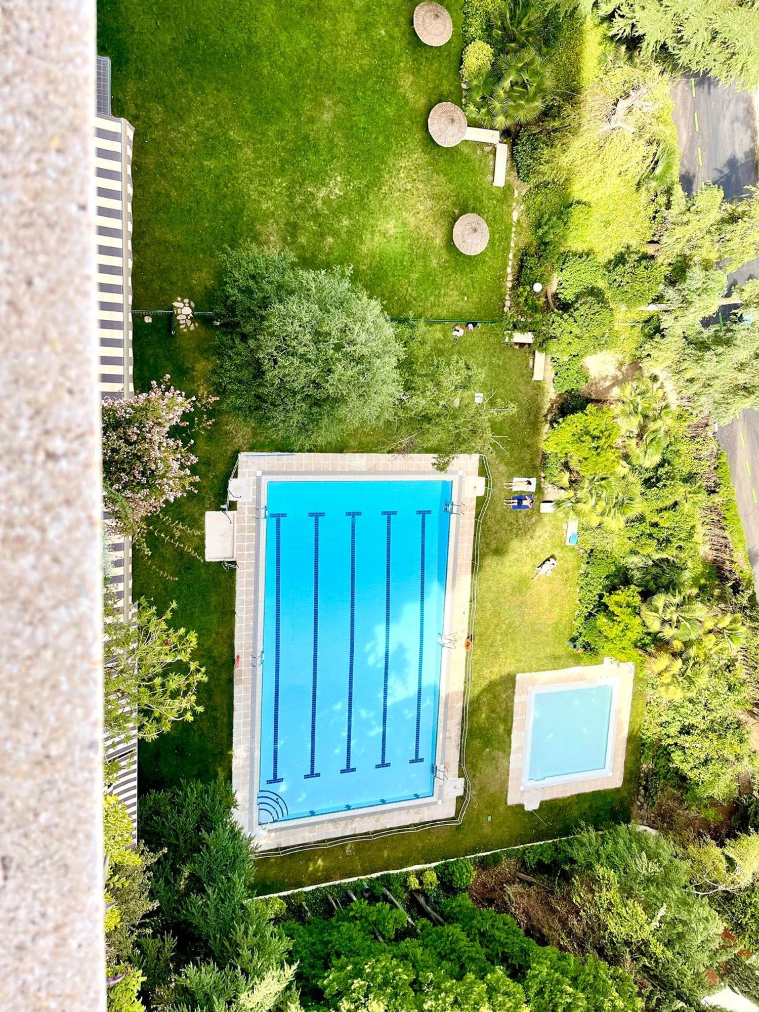 Pisos-Alquiler-Madrid-1833379-Foto-14