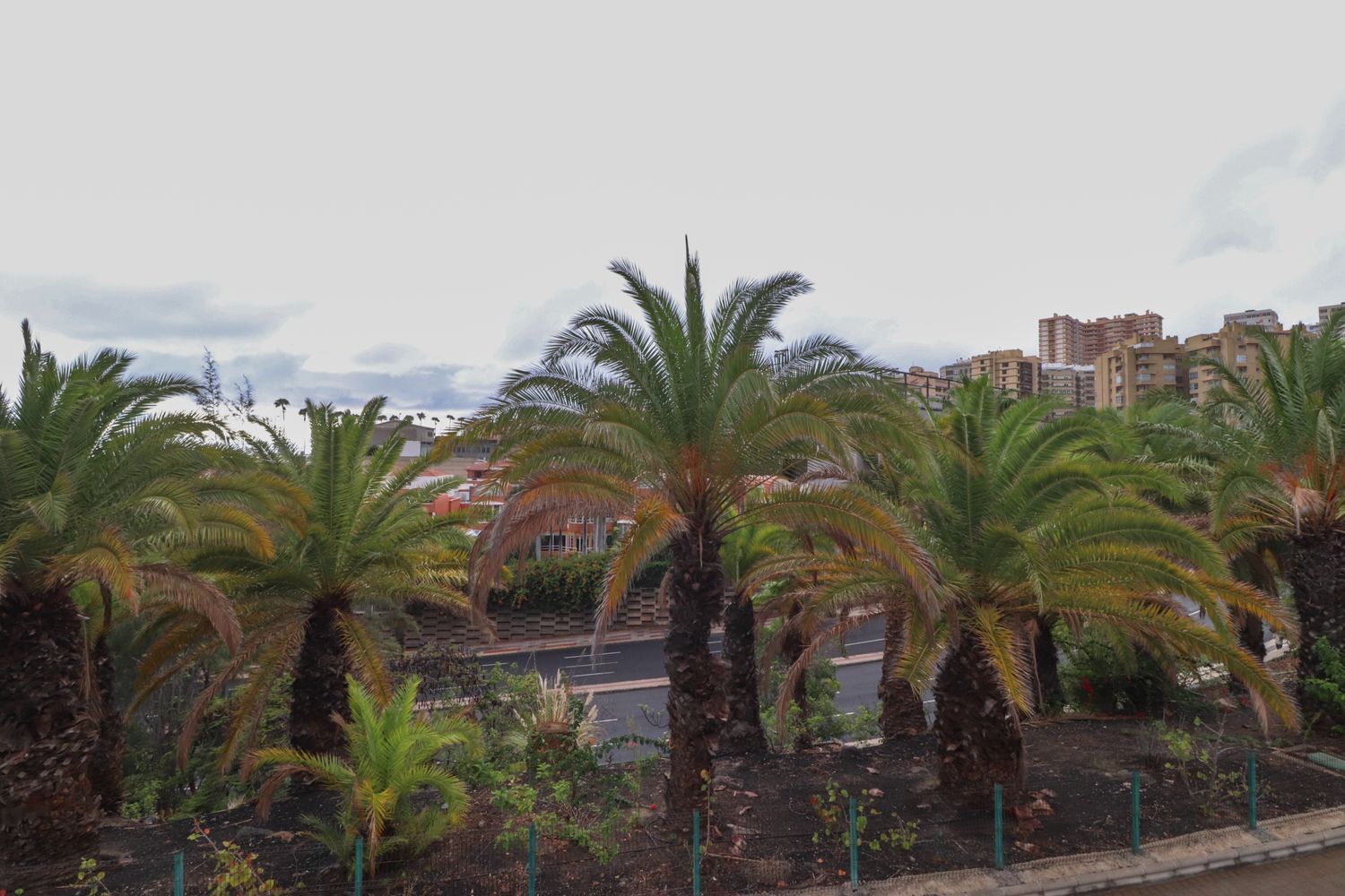 Casas o chalets-Venta-Las Palmas de Gran Canaria-2208859-Foto-14