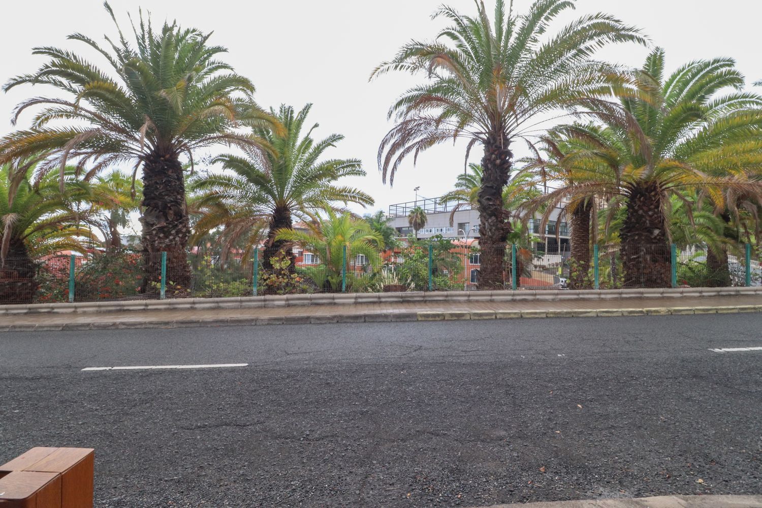 Casas o chalets-Venta-Las Palmas de Gran Canaria-2208859-Foto-13