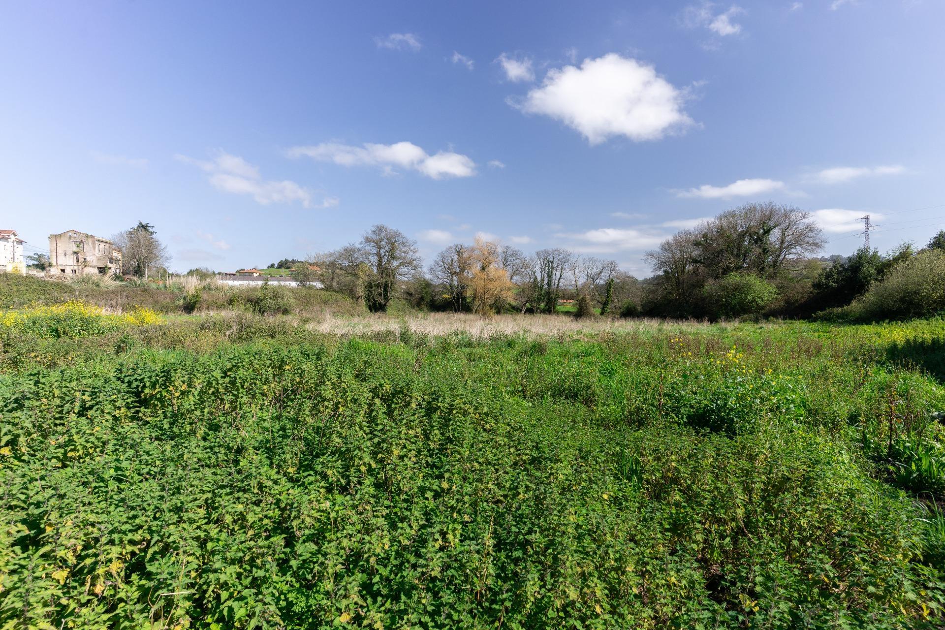 Fincas y solares-Venta-GijÃ³n-2208868-Foto-6