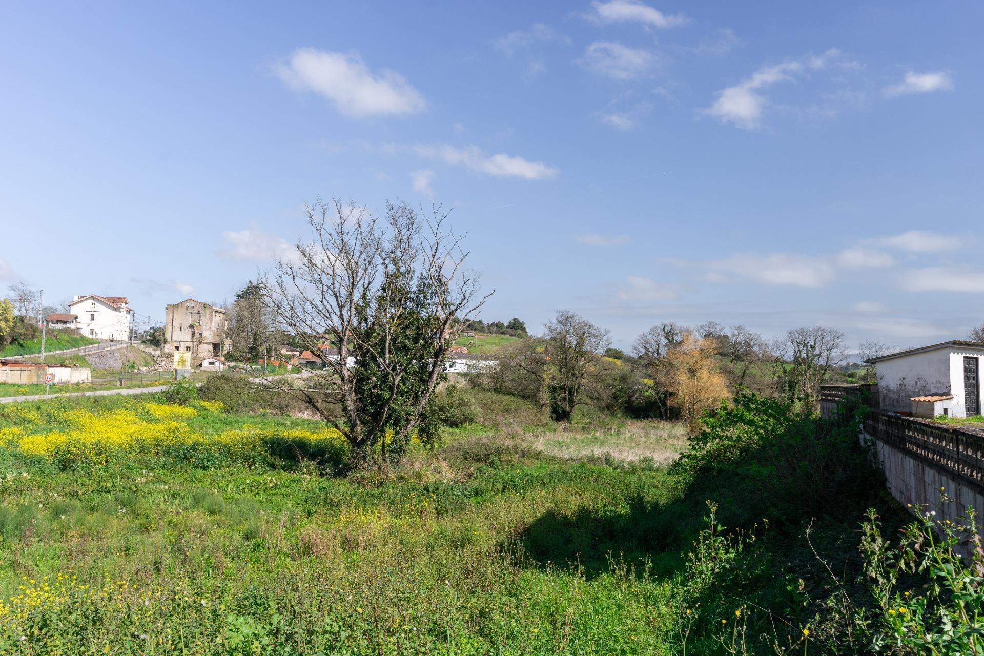 Fincas y solares-Venta-GijÃ³n-2208868-Foto-9