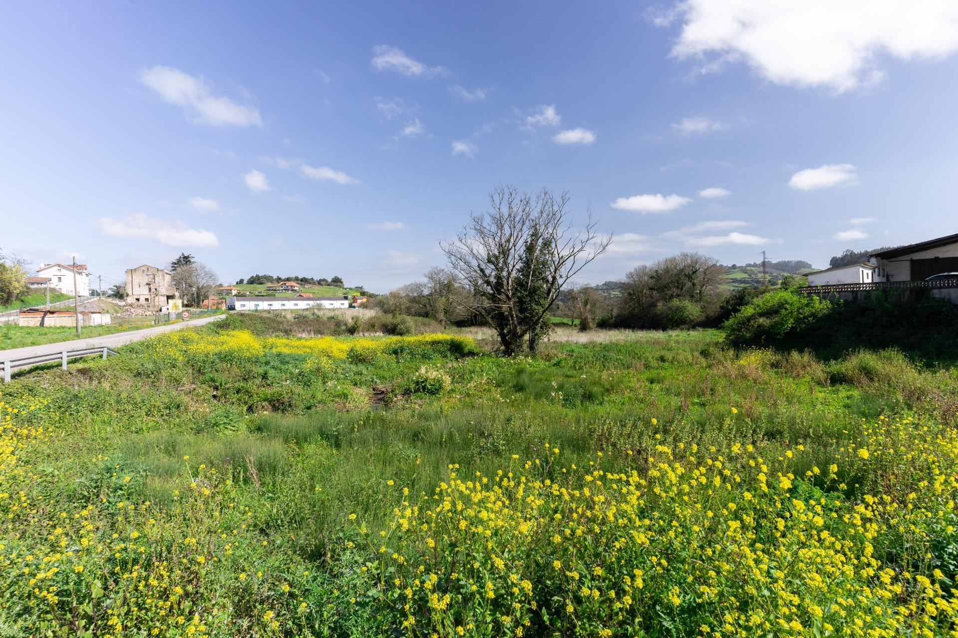 Fincas y solares-Venta-GijÃ³n-2208868-Foto-8