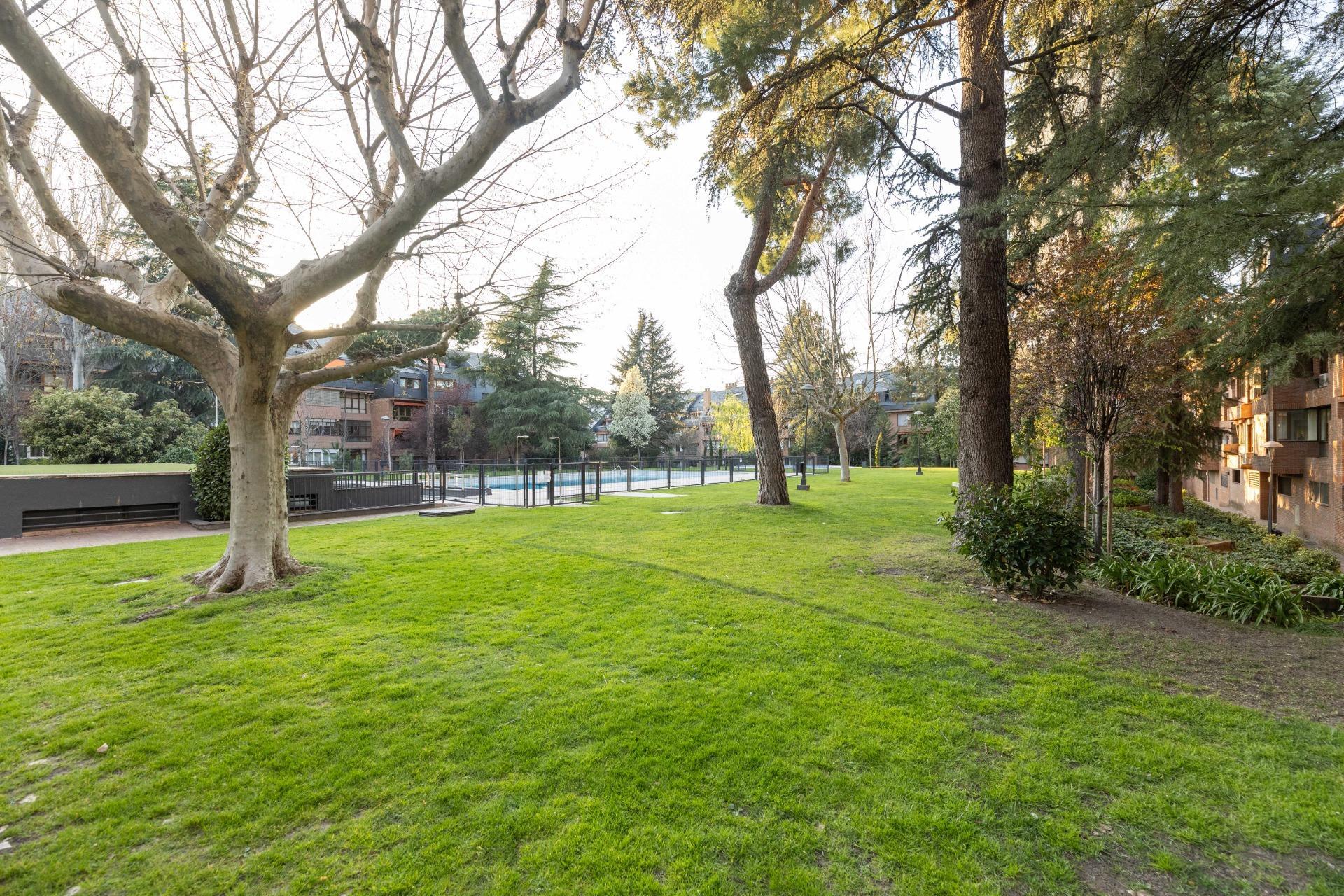 Pisos-Venta-Las Rozas de Madrid-2208871-Foto-42