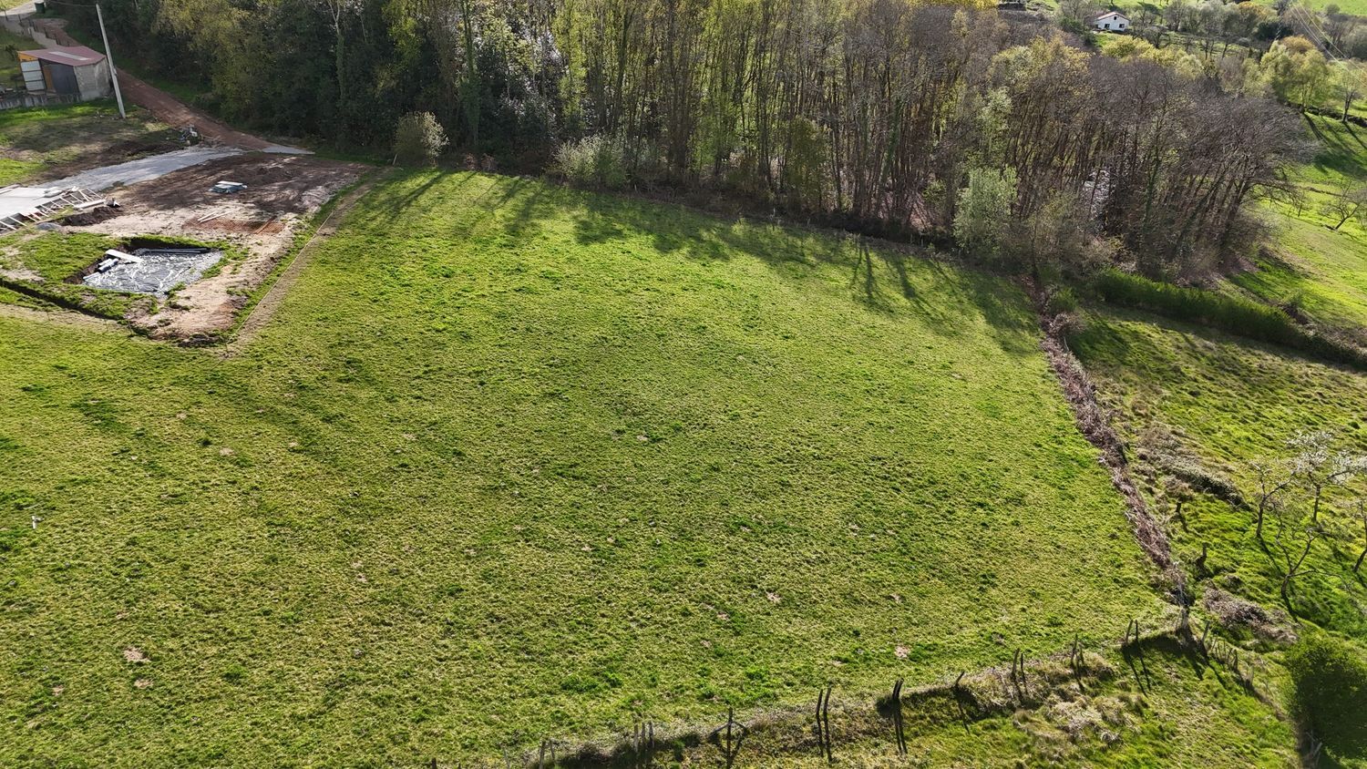 Fincas y solares-Venta-Siero-2208886-Foto-3