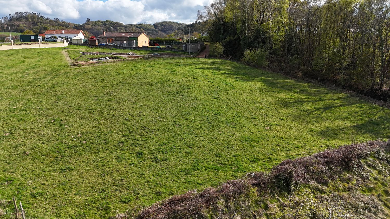 Fincas y solares-Venta-Siero-2208886-Foto-5