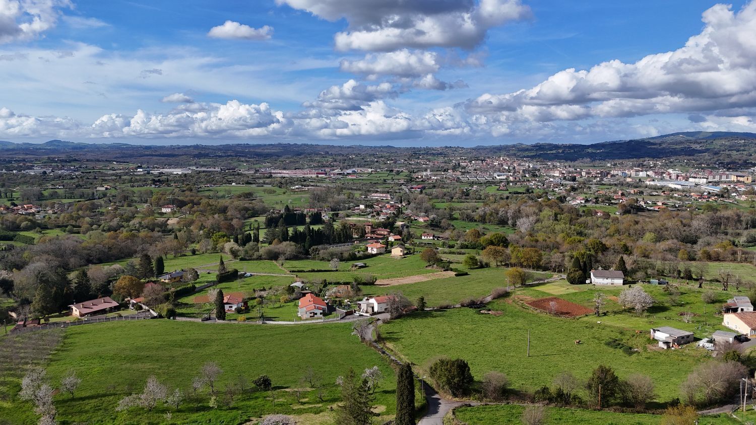 Fincas y solares-Venta-Siero-2208886-Foto-14