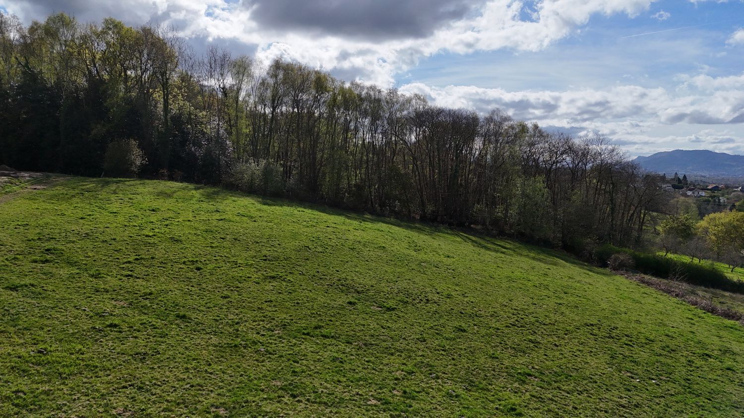 Fincas y solares-Venta-Siero-2208886-Foto-15