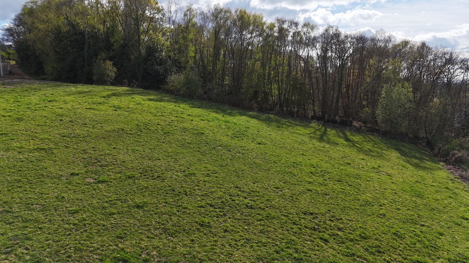 Fincas y solares-Venta-Siero-2208886-Foto-17