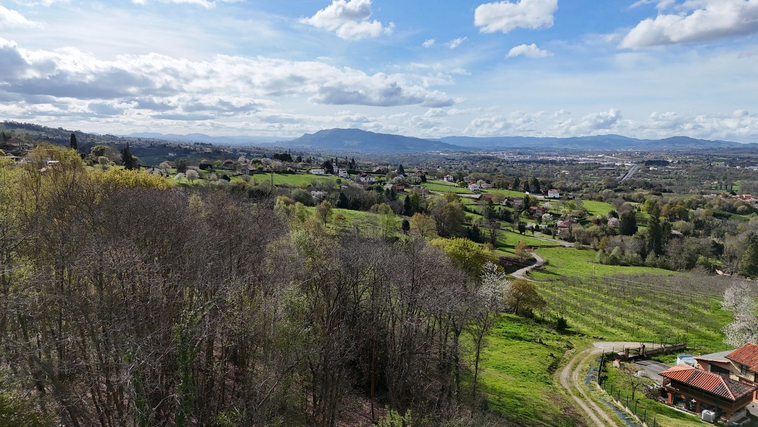 Fincas y solares-Venta-Siero-2208886-Foto-22