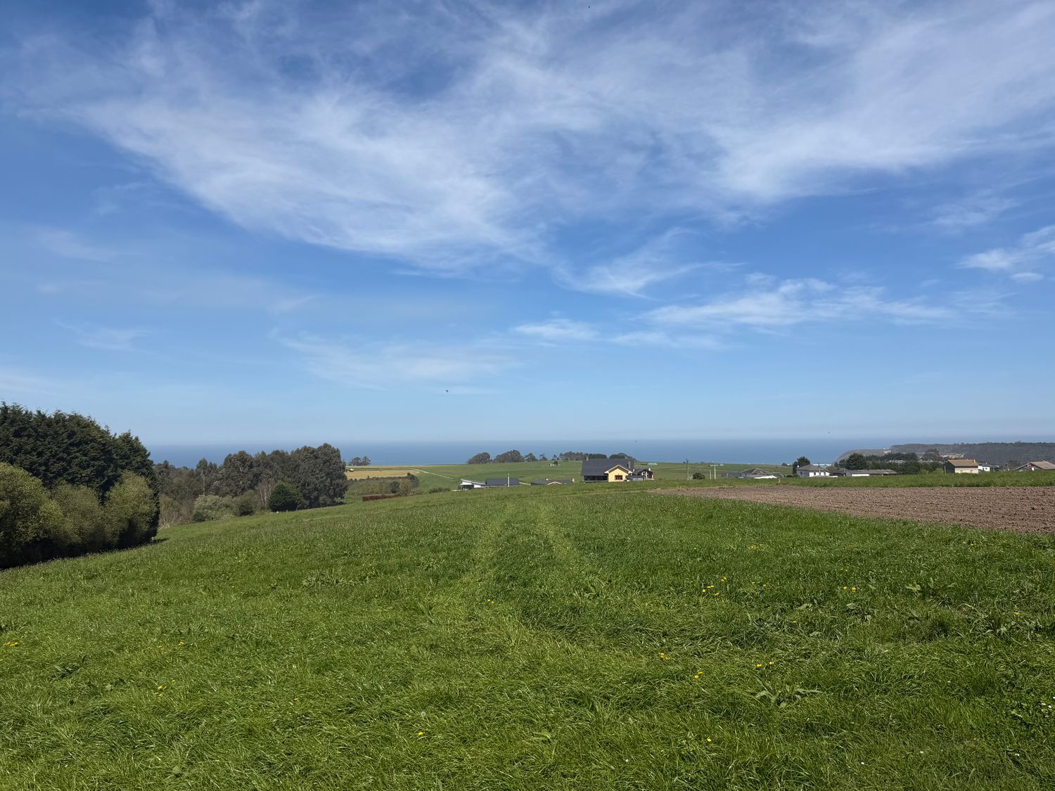 Fincas y solares-Venta-ValdÃ©s-2208889-Foto-4