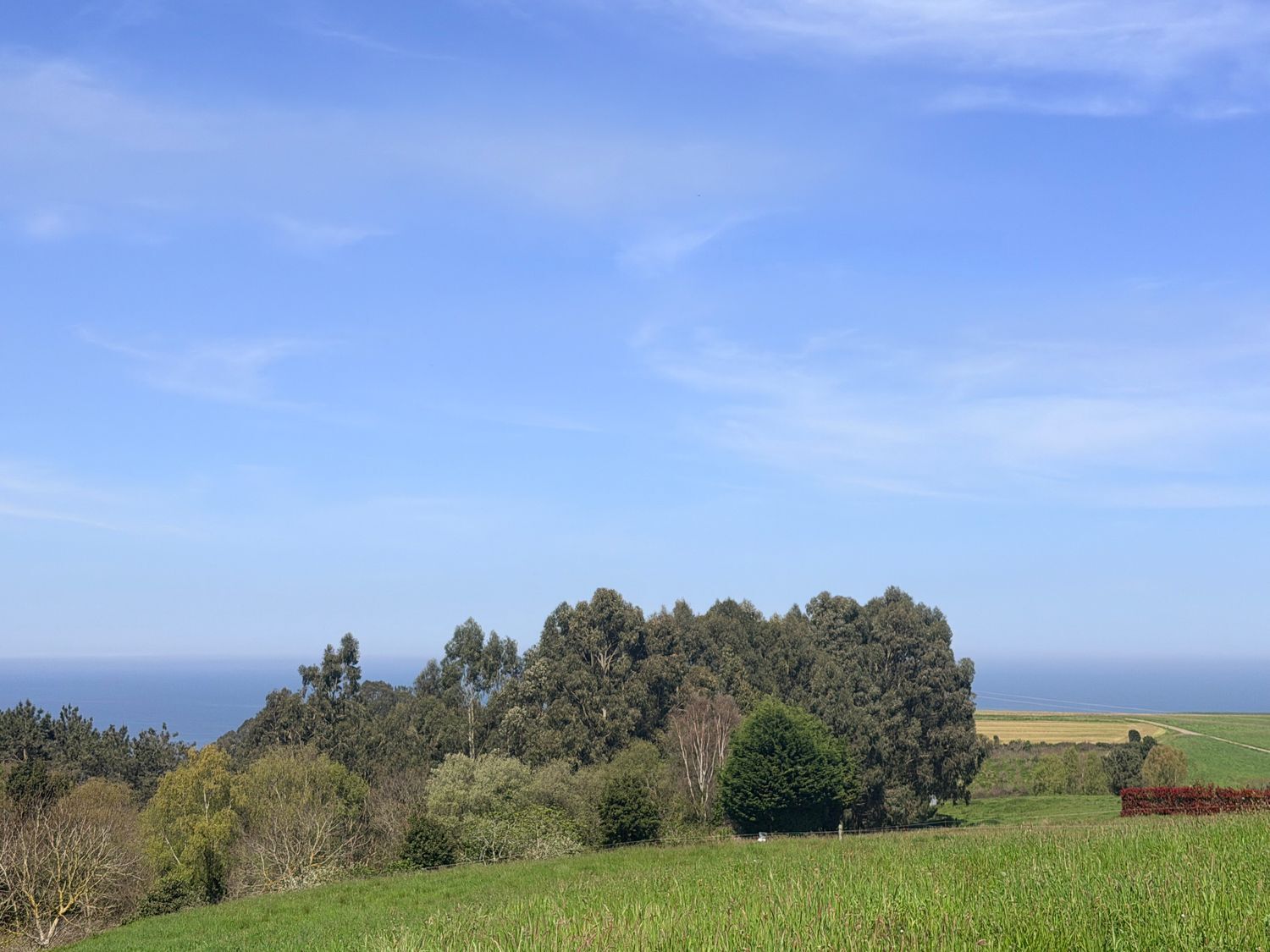 Fincas y solares-Venta-ValdÃ©s-2208889-Foto-5