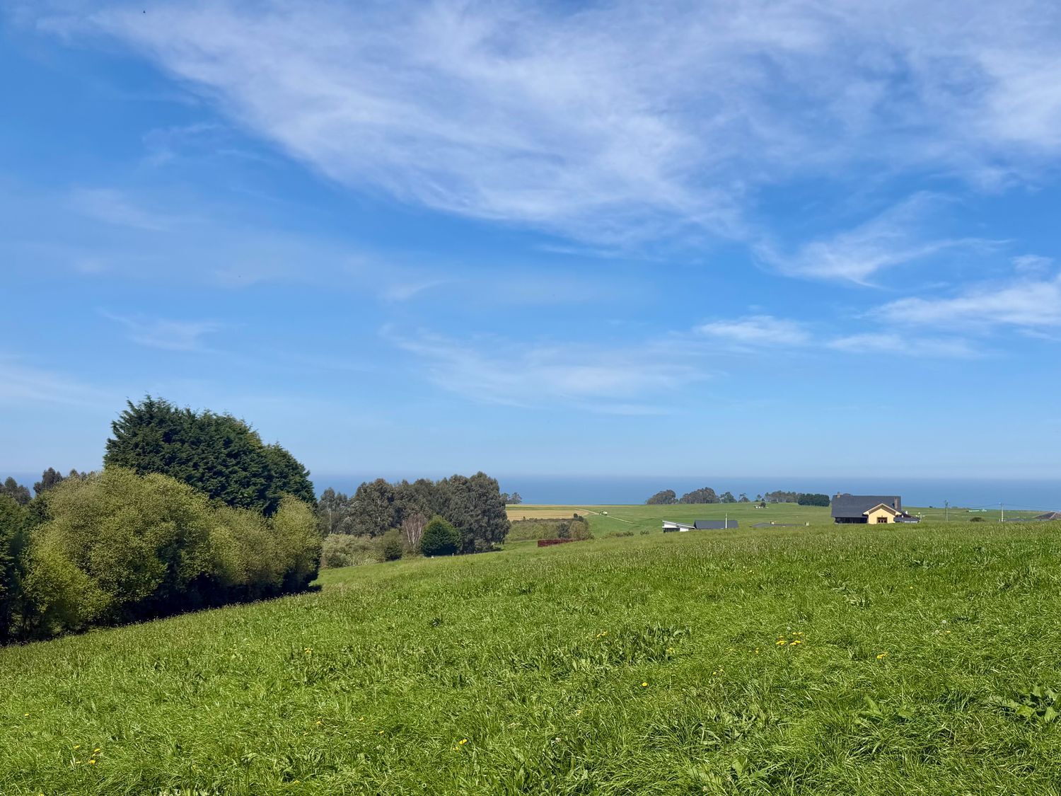 Fincas y solares-Venta-ValdÃ©s-2208889-Foto-2