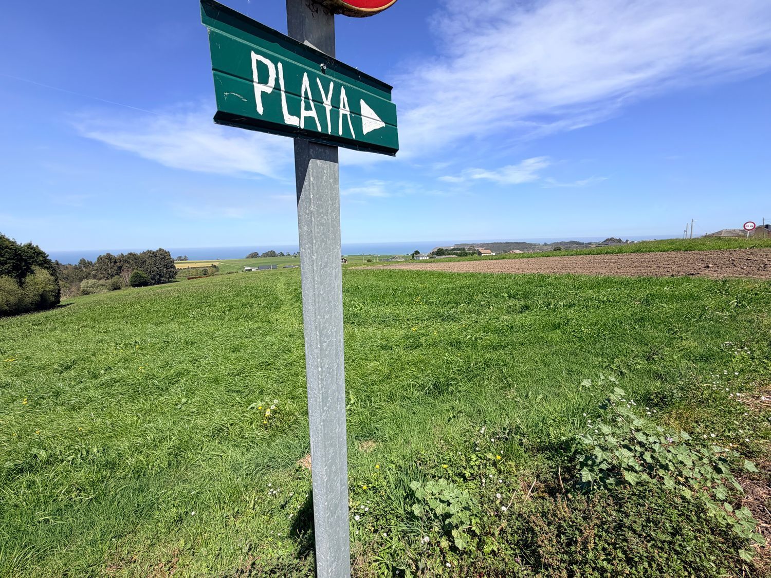 Fincas y solares-Venta-ValdÃ©s-2208889-Foto-10