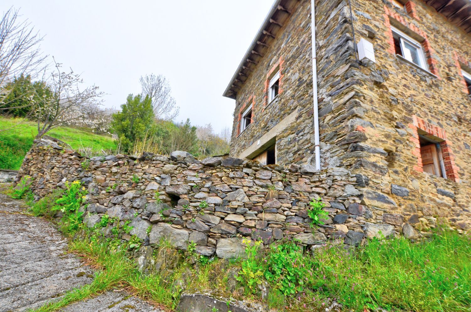 Casas o chalets-Venta-Cangas de Narcea-2201326-Foto-2