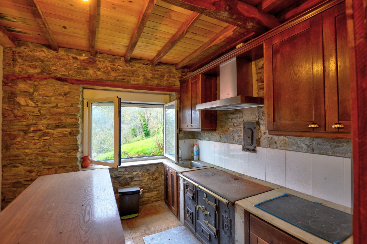 Casas o chalets-Venta-Cangas de Narcea-2201326-Foto-17