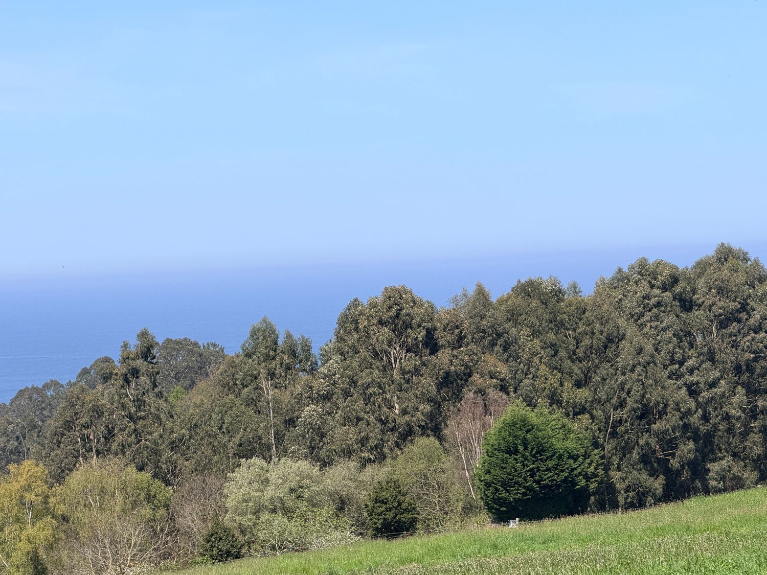 Fincas y solares-Venta-ValdÃ©s-2208895-Foto-4