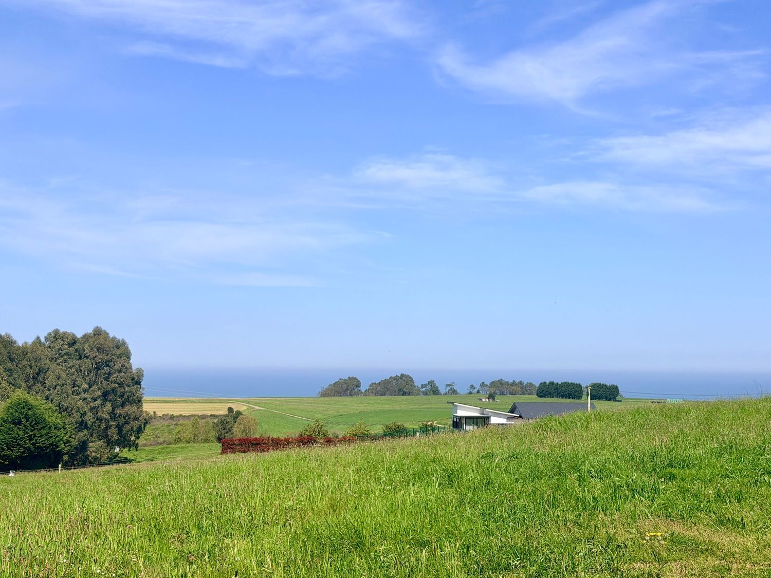 Fincas y solares-Venta-ValdÃ©s-2208895-Foto-7