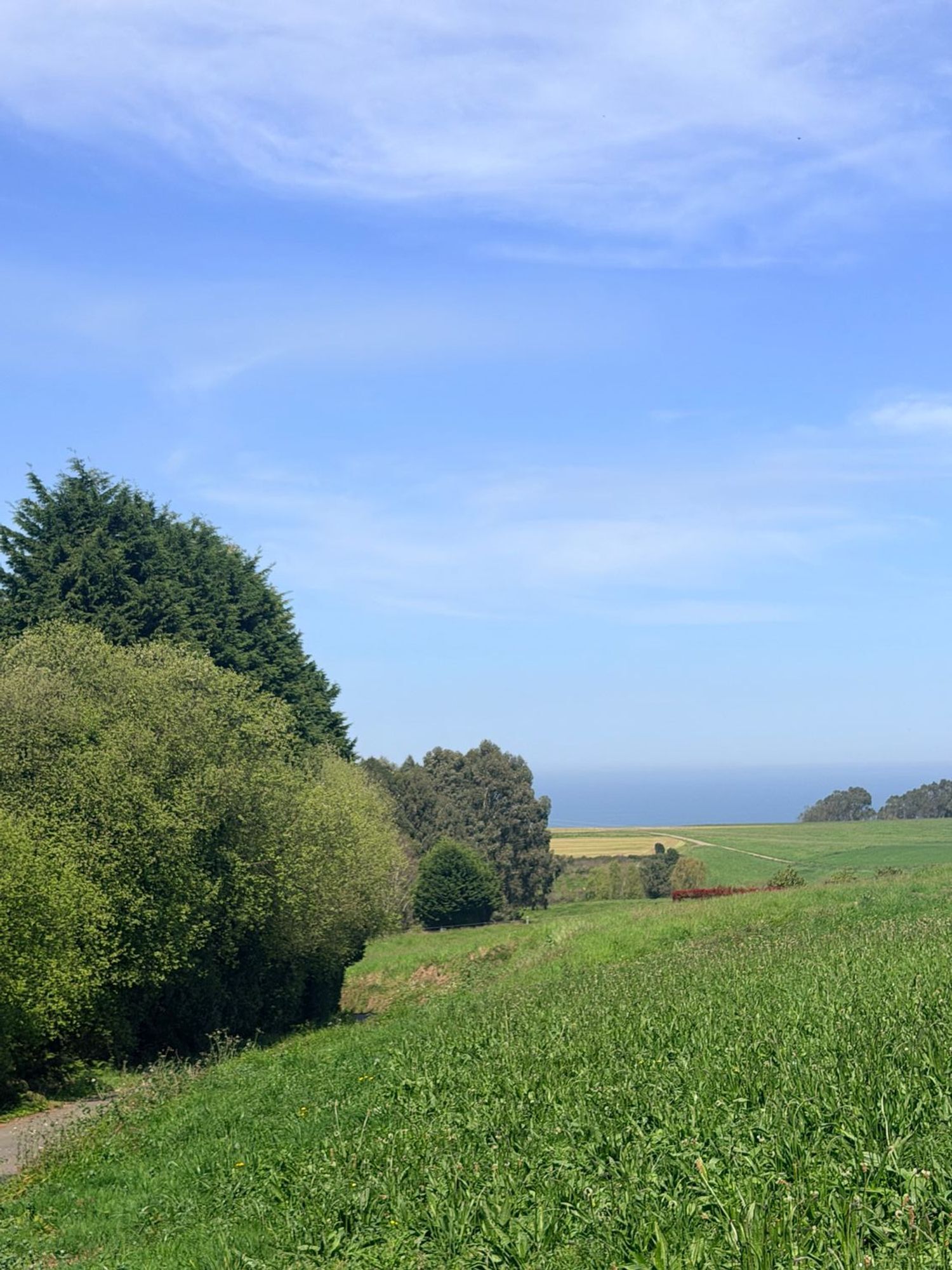 Fincas y solares-Venta-ValdÃ©s-2208895-Foto-6