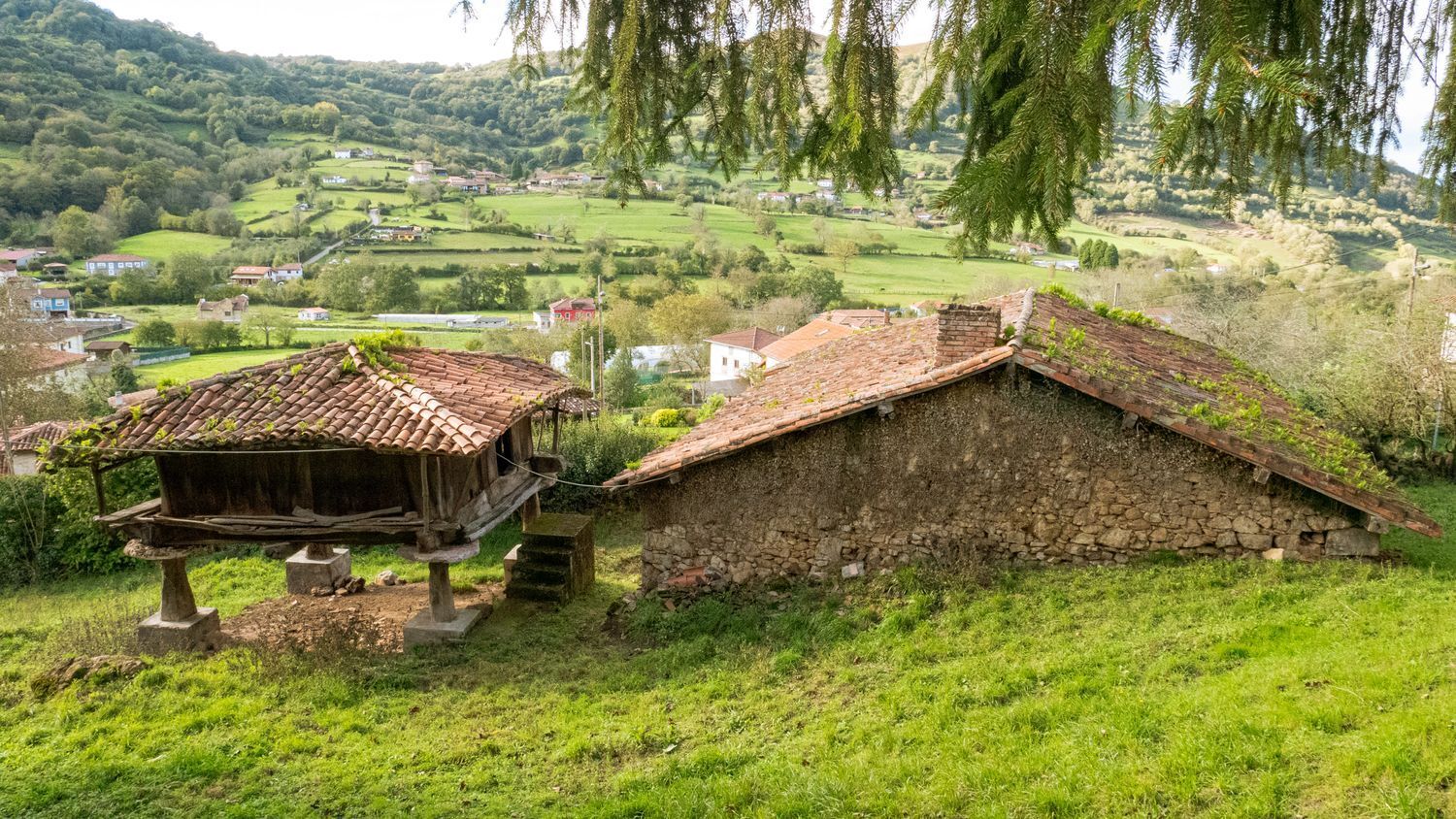 Casas o chalets-Venta-El Grado-995188-Foto-3