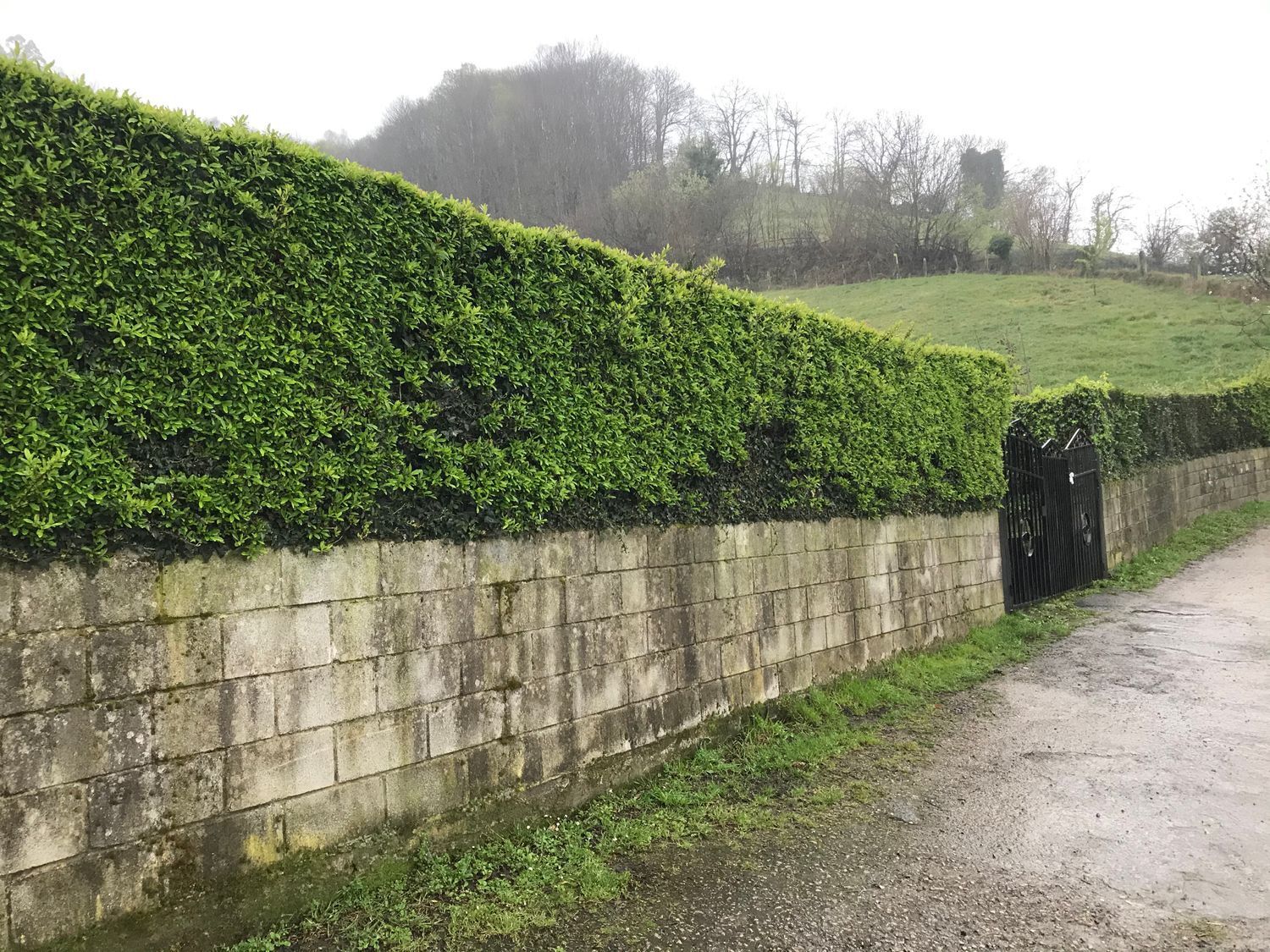 Propiedad en venta en Asturias, Mieres del Camino