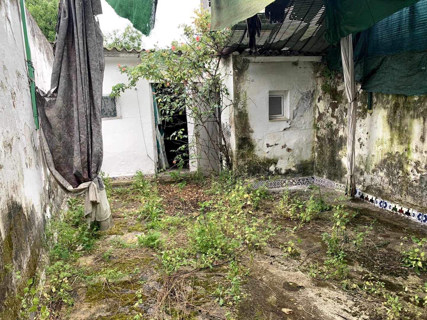 Casas o chalets-Venta-Olivares-2208901-Foto-12