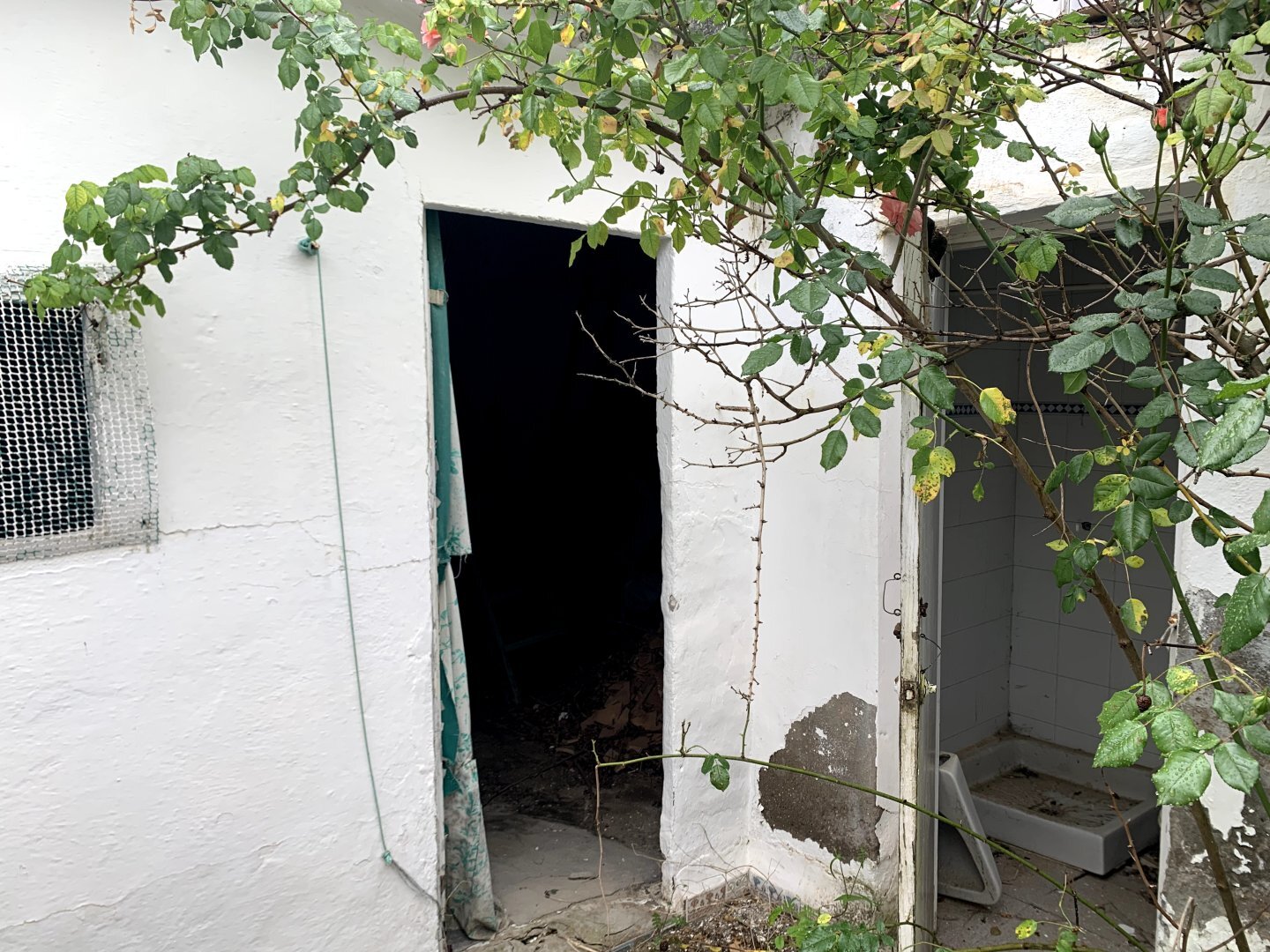 Casas o chalets-Venta-Olivares-2208901-Foto-13