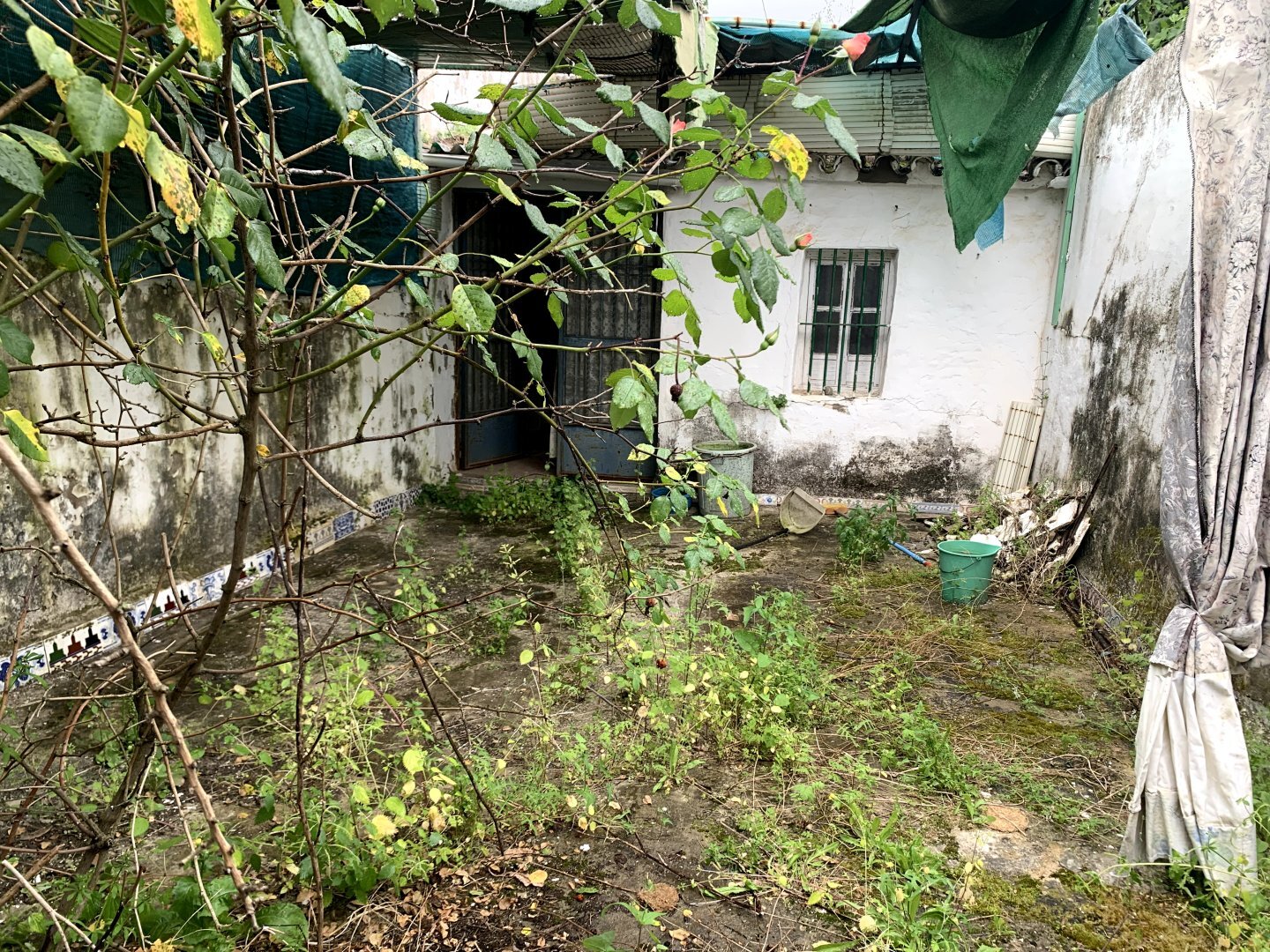 Casas o chalets-Venta-Olivares-2208901-Foto-14