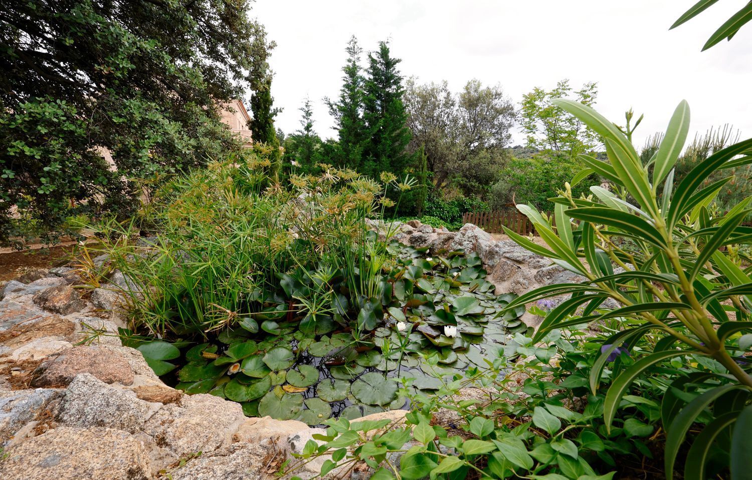 Casas o chalets-Venta-Toledo-2207080-Foto-2