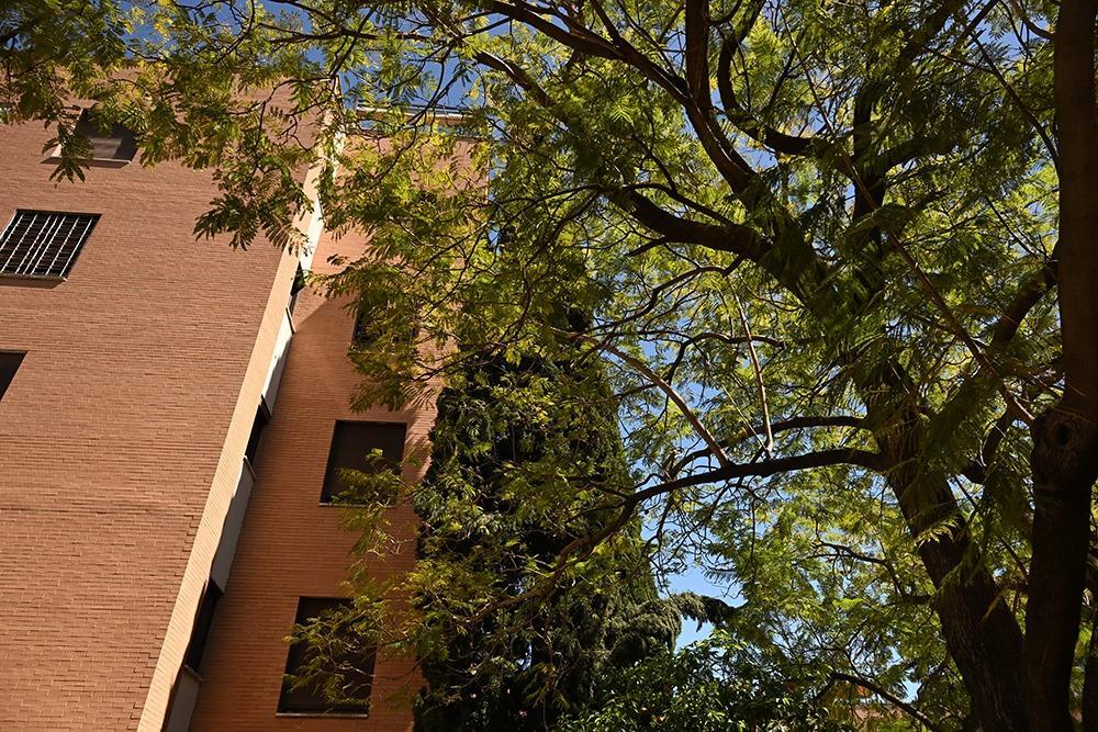 Pisos-Alquiler-Mairena del Aljarafe-2209741-Foto-36