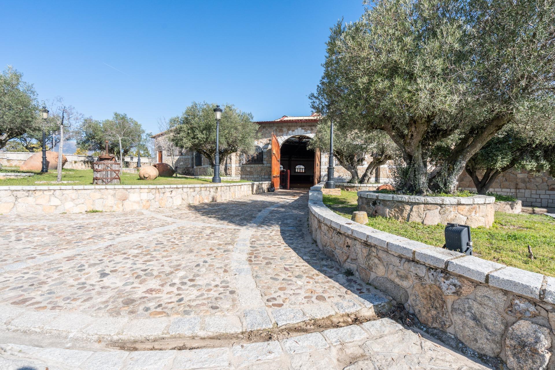 Fincas y solares-Venta-Robledo de Chavela-2173650-Foto-11