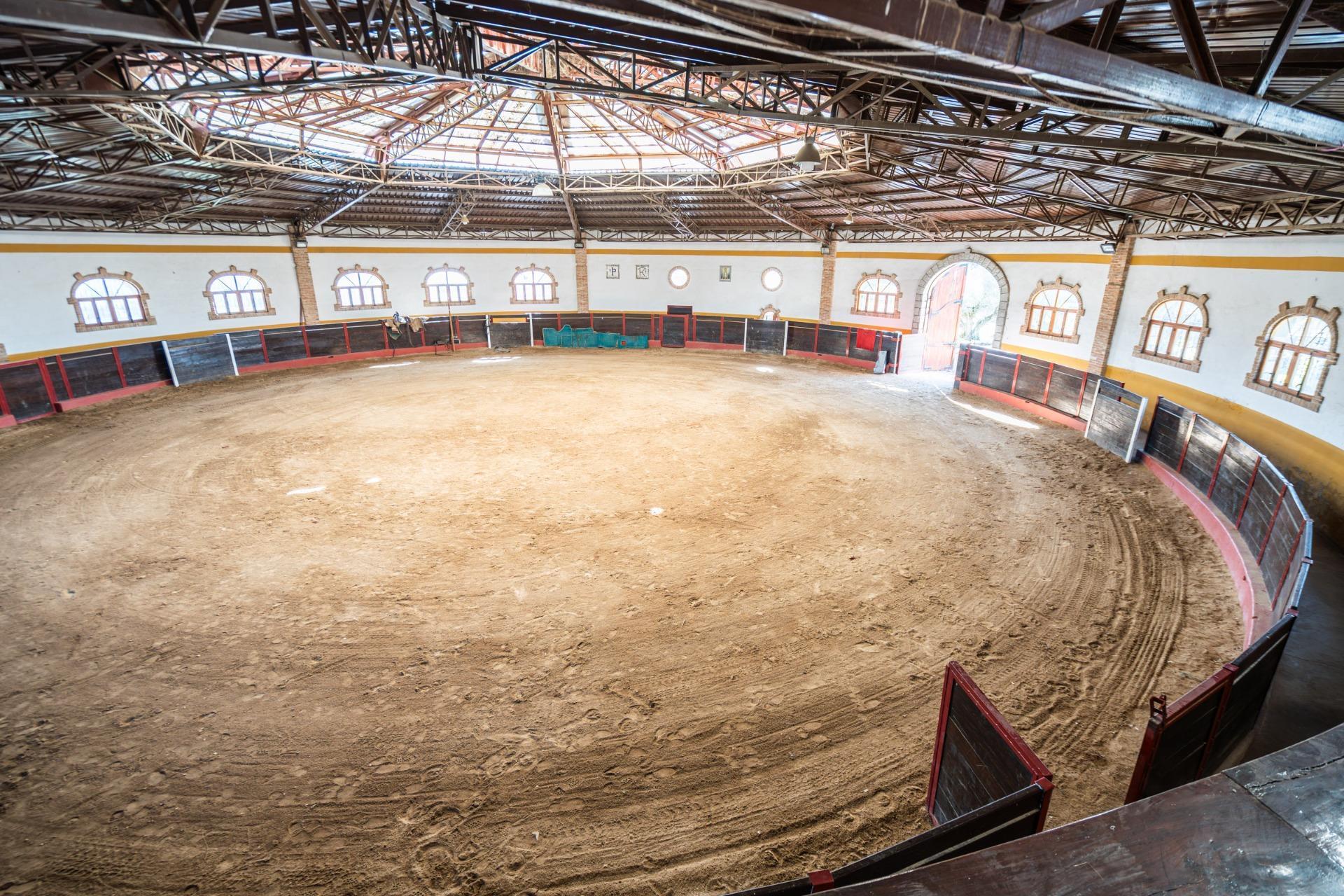 Fincas y solares-Venta-Robledo de Chavela-2173650-Foto-19