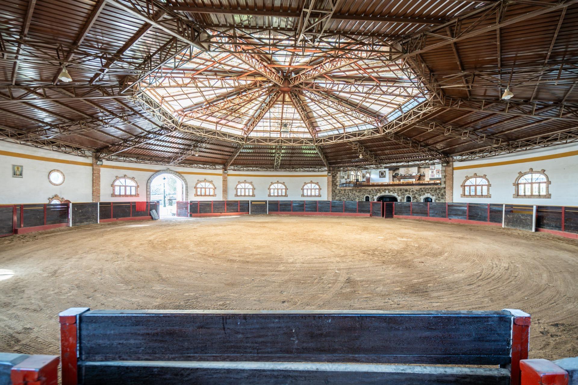 Fincas y solares-Venta-Robledo de Chavela-2173650-Foto-17