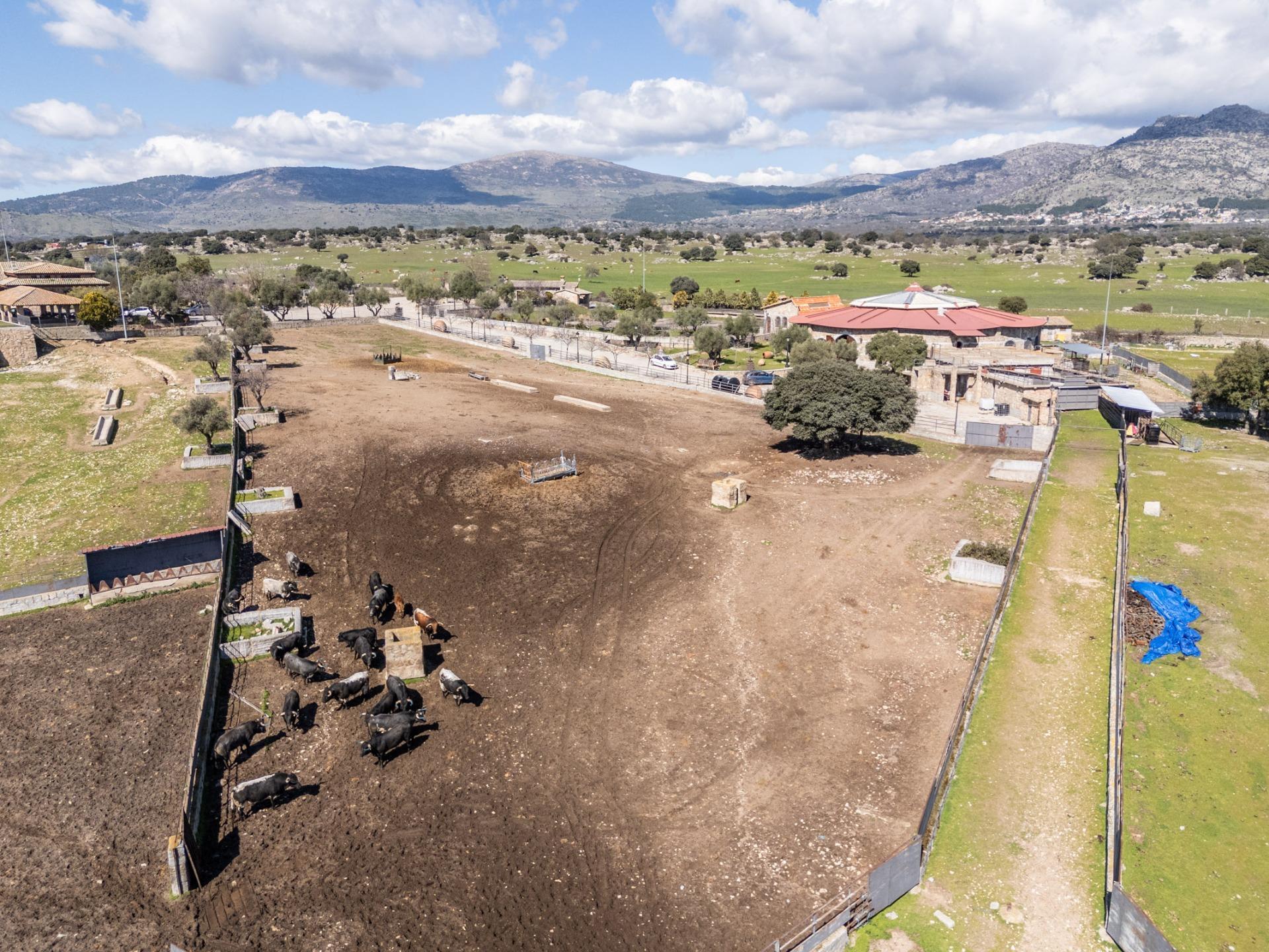 Fincas y solares-Venta-Robledo de Chavela-2173650-Foto-29