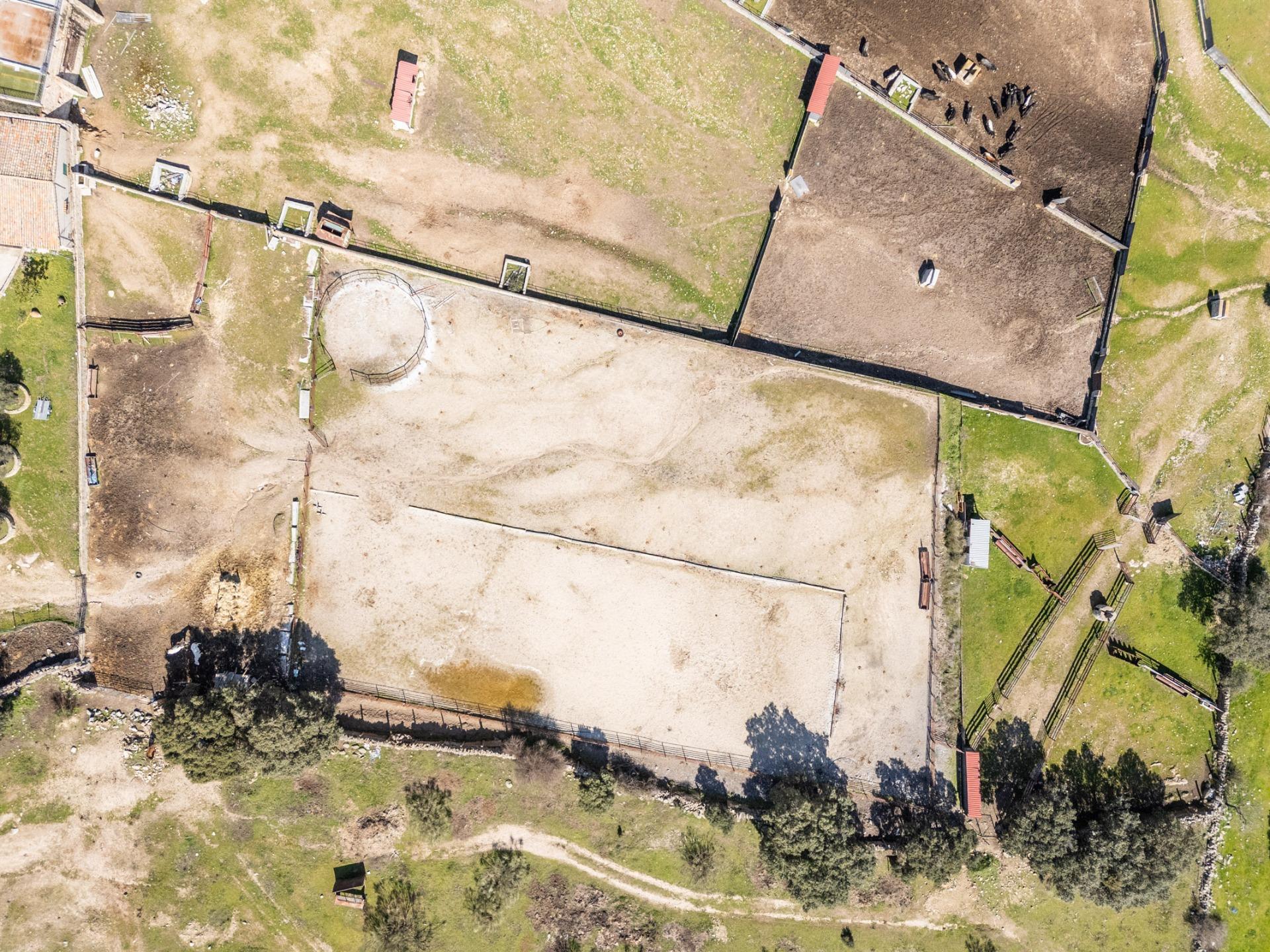 Fincas y solares-Venta-Robledo de Chavela-2173650-Foto-34