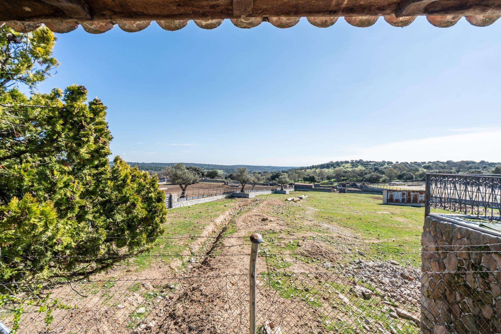 Fincas y solares-Venta-Robledo de Chavela-2173650-Foto-63