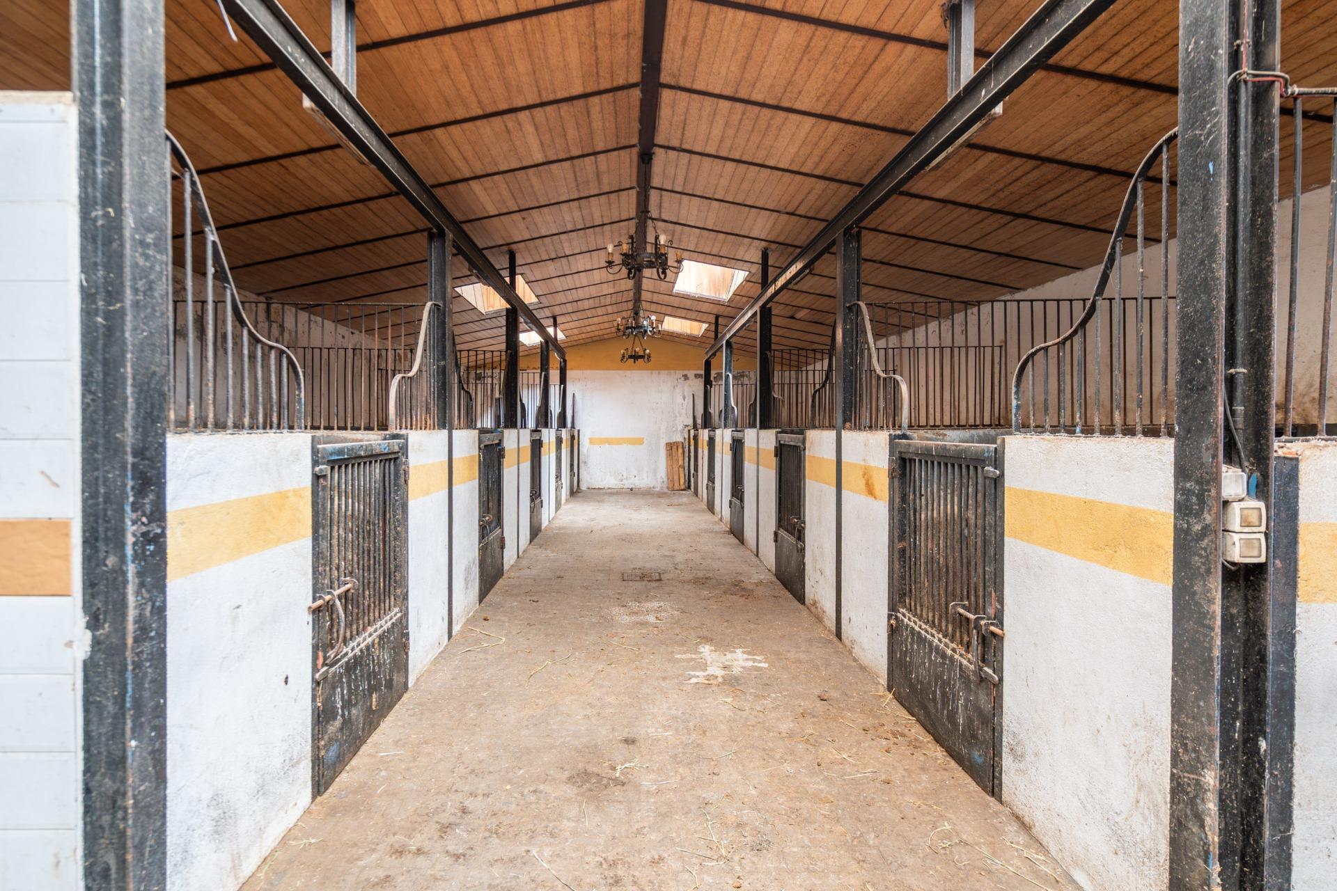 Fincas y solares-Venta-Robledo de Chavela-2173650-Foto-90