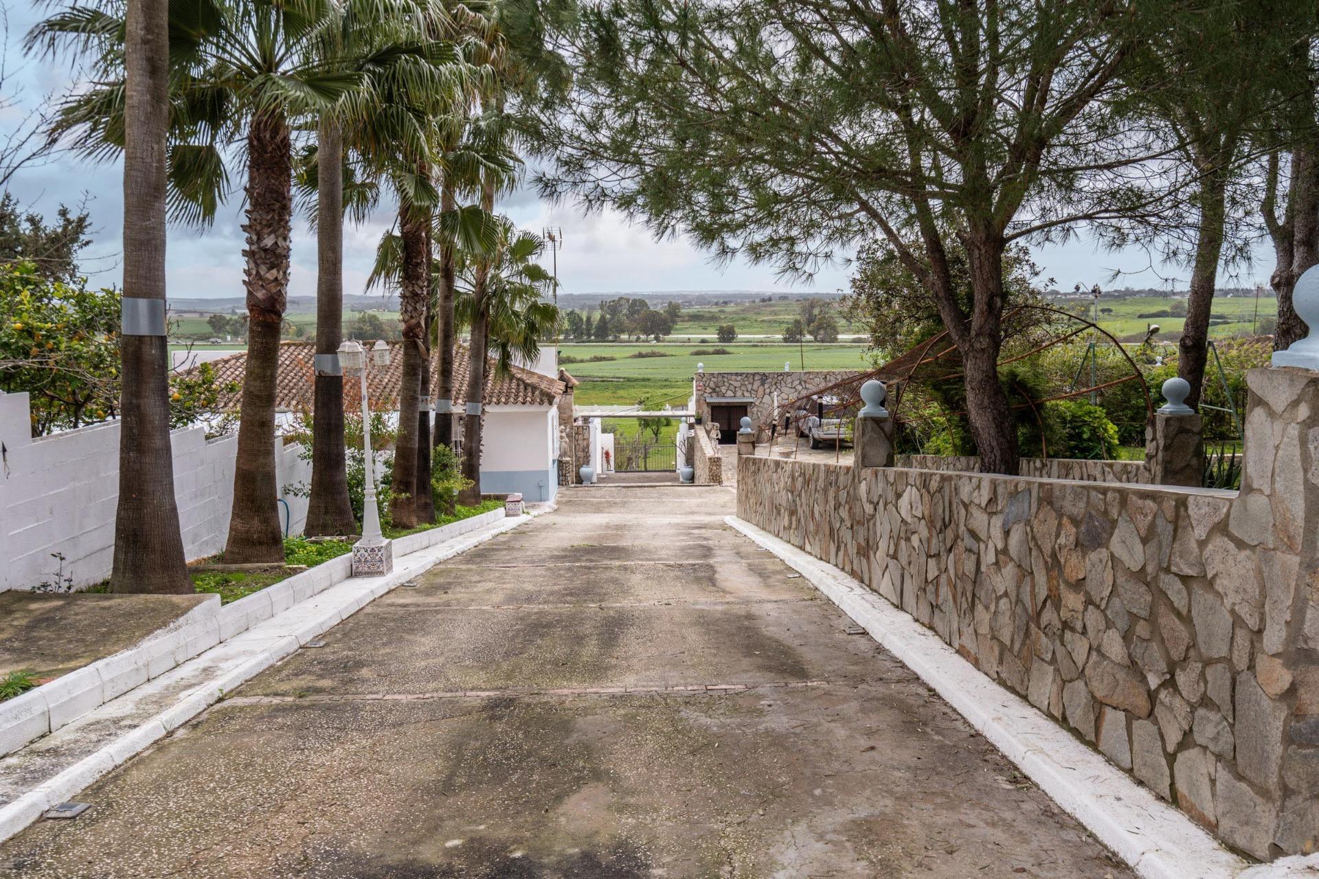 Casas o chalets-Venta-Chiclana de la Frontera-1684801-Foto-87