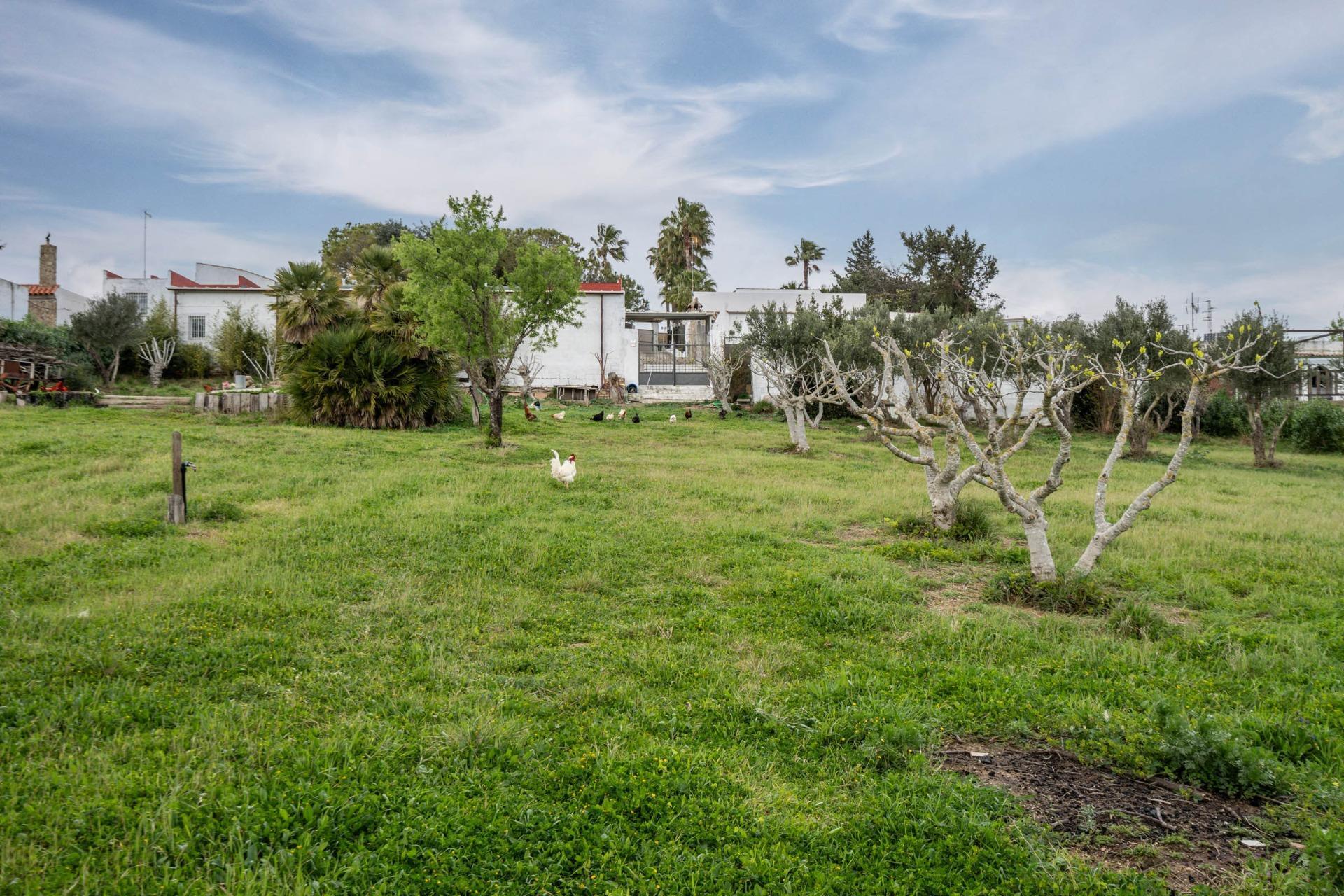 Casas o chalets-Venta-Chiclana de la Frontera-1684801-Foto-94