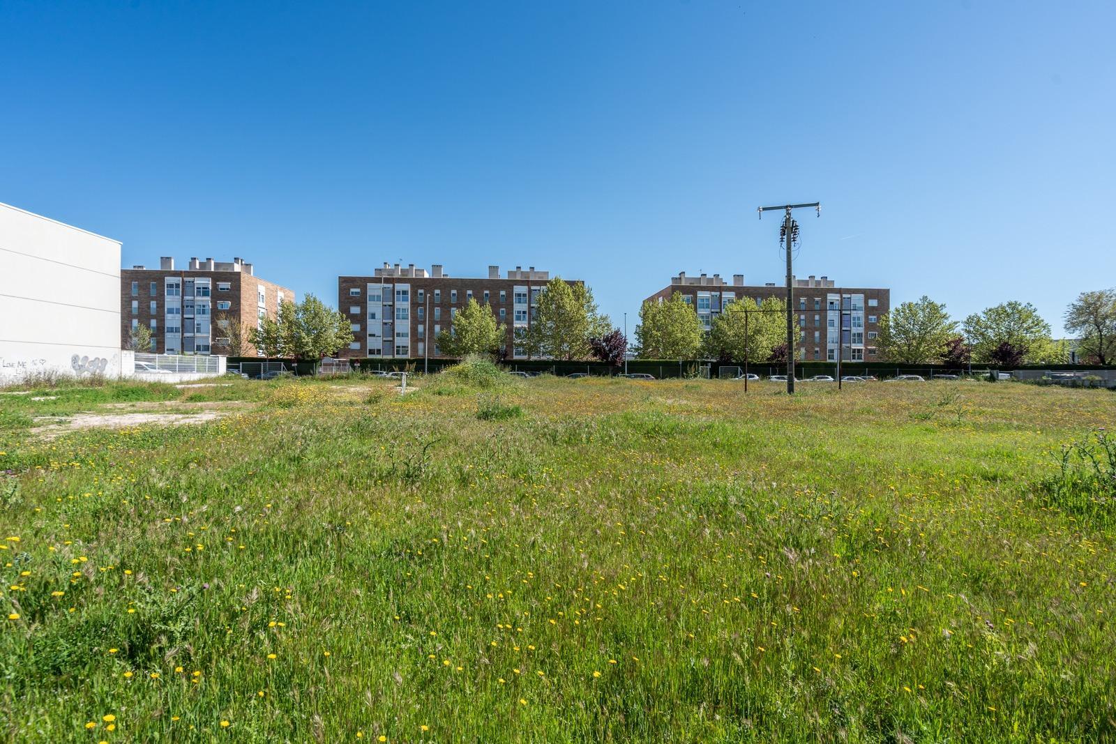 Fincas y solares-Venta-Parla-1719316-Foto-14