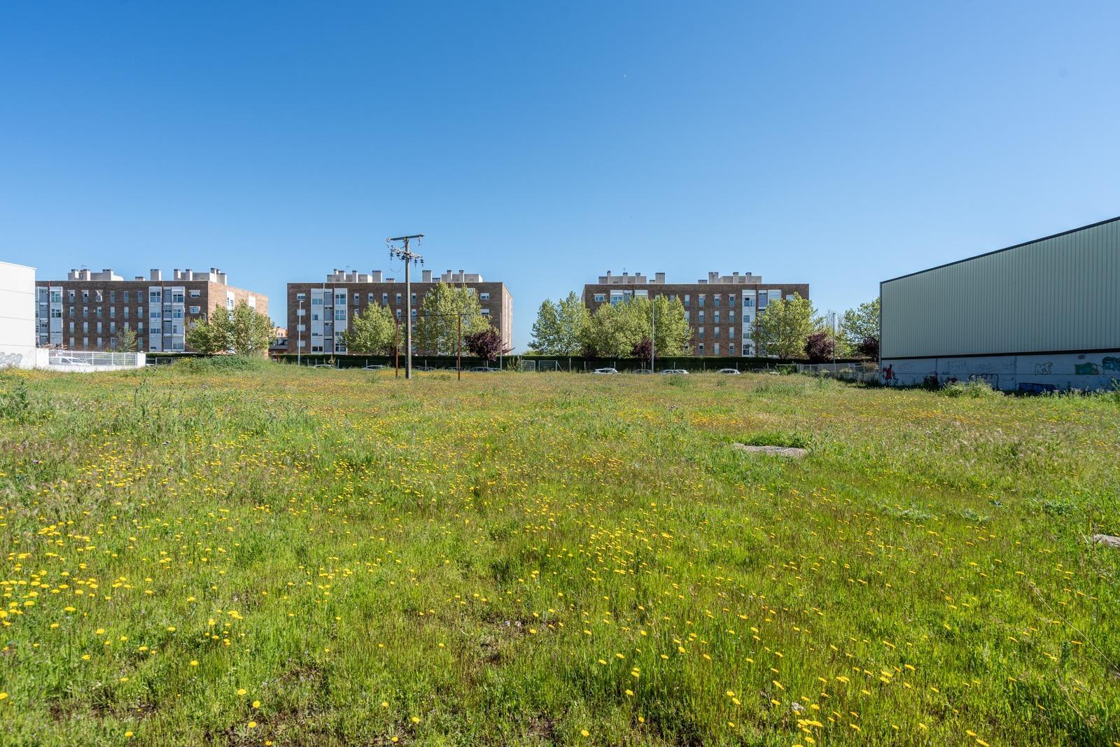 Fincas y solares-Venta-Parla-1719316-Foto-12