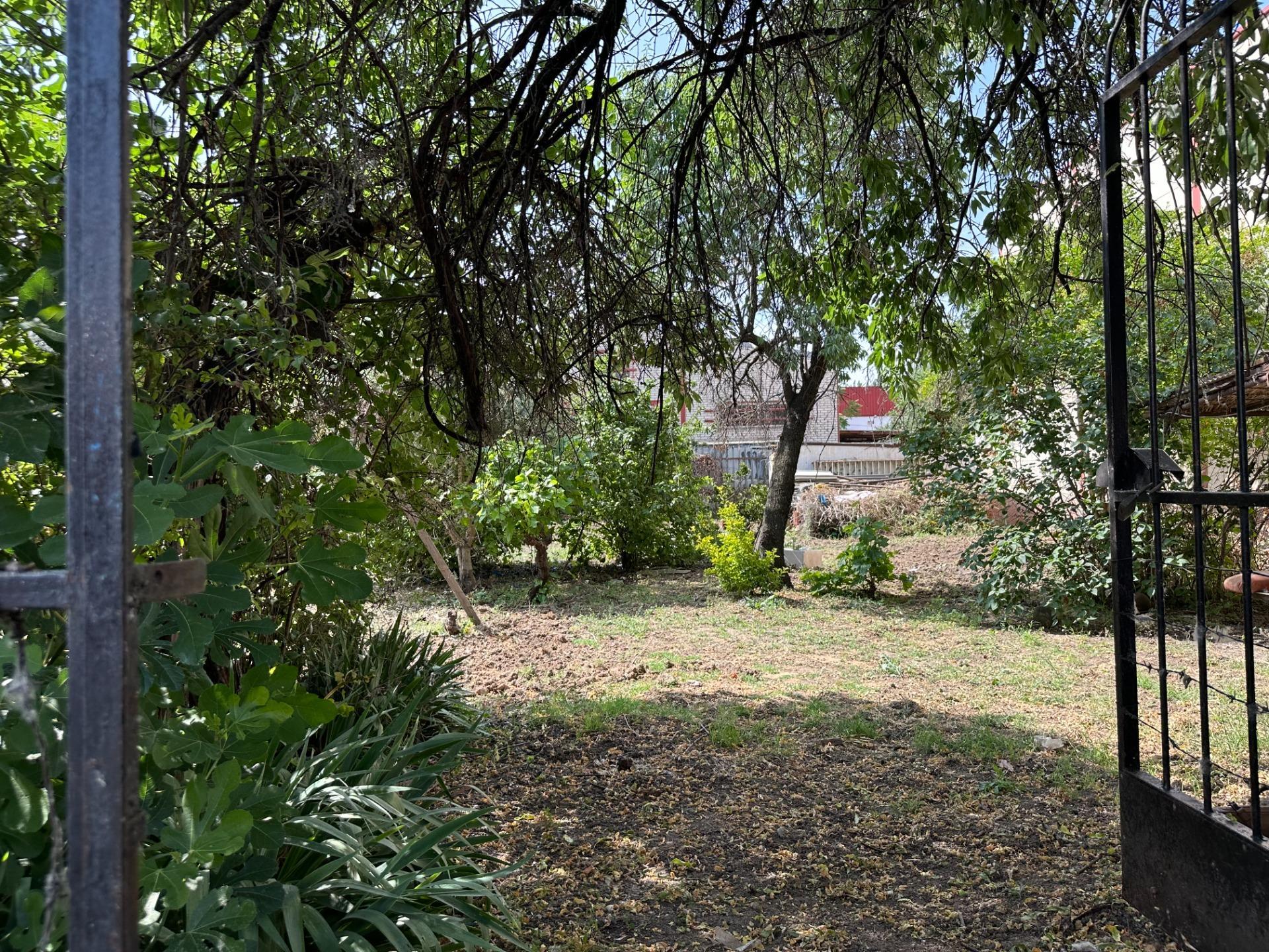 Fincas y solares-Venta-Paracuellos de Jarama-1745169-Foto-5