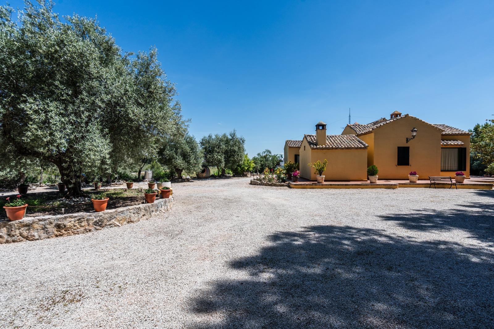 Pisos-Venta-ChinchÃ³n-1734244-Foto-66