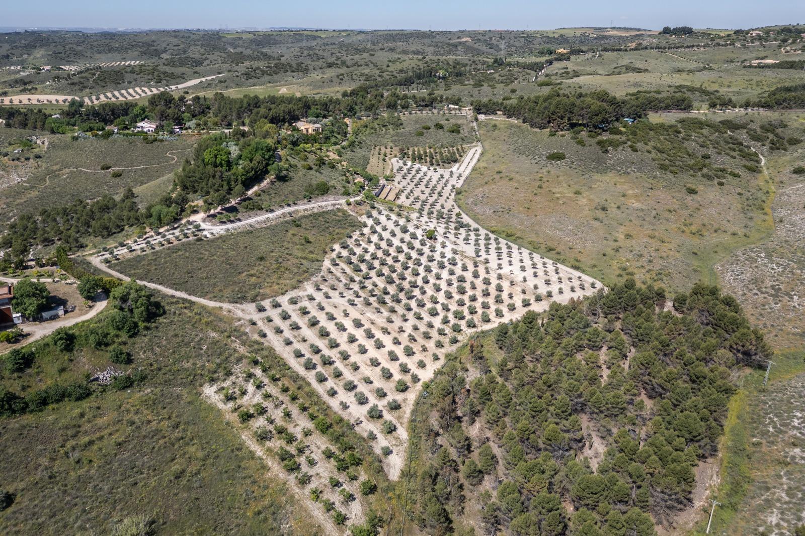 Pisos-Venta-ChinchÃ³n-1734244-Foto-85