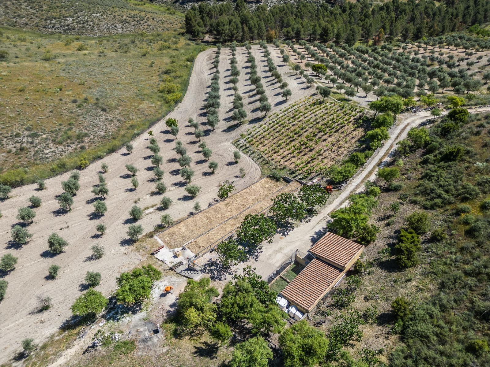 Pisos-Venta-ChinchÃ³n-1734244-Foto-91