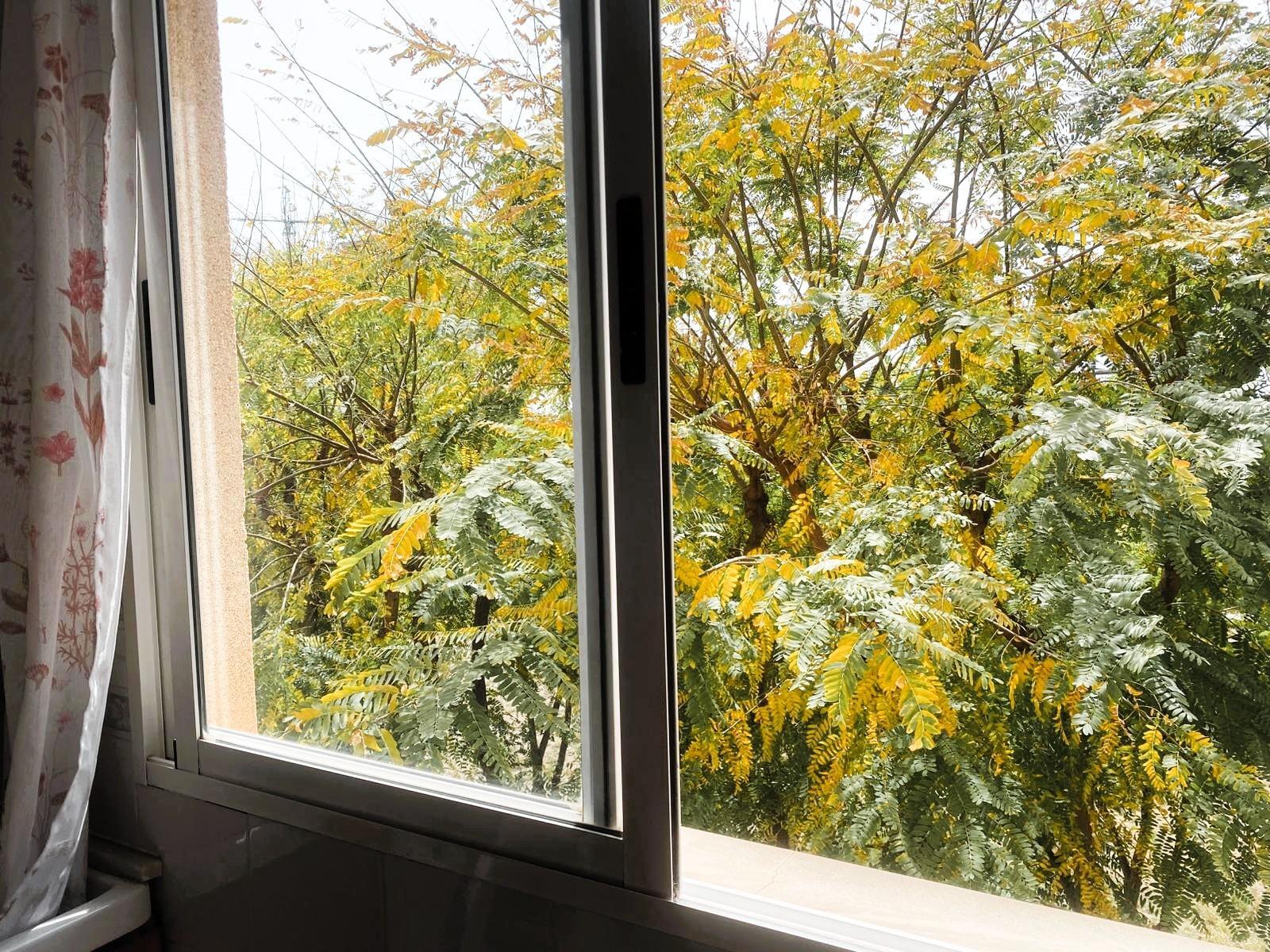 Pisos-Alquiler-Albal-2209759-Foto-13