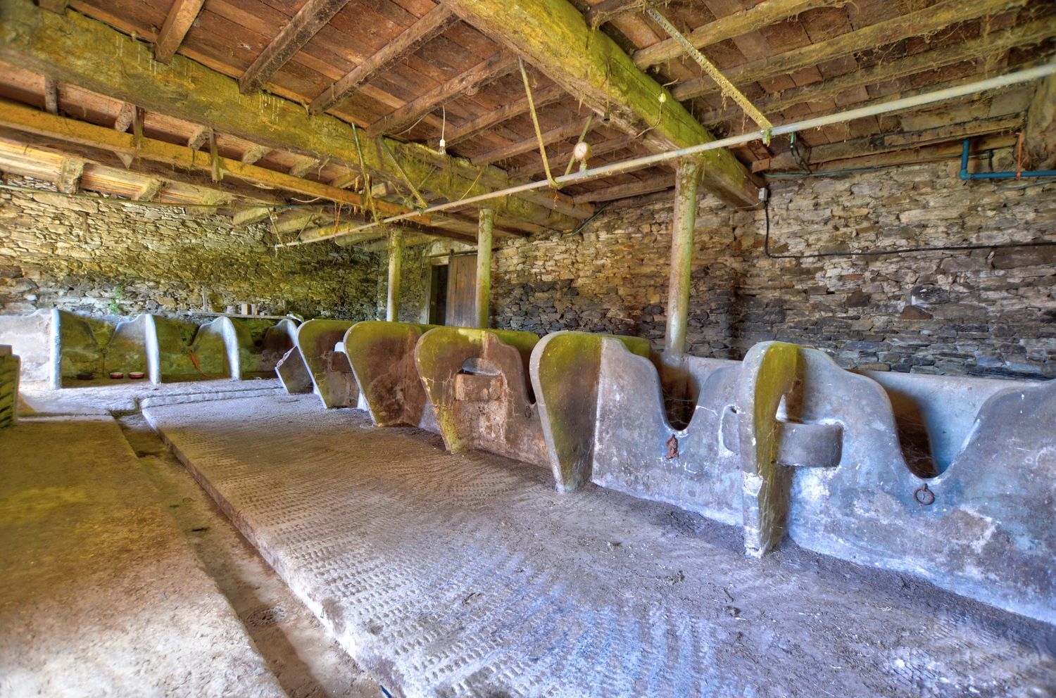 Casas o chalets-Venta-Tineo-2210035-Foto-20